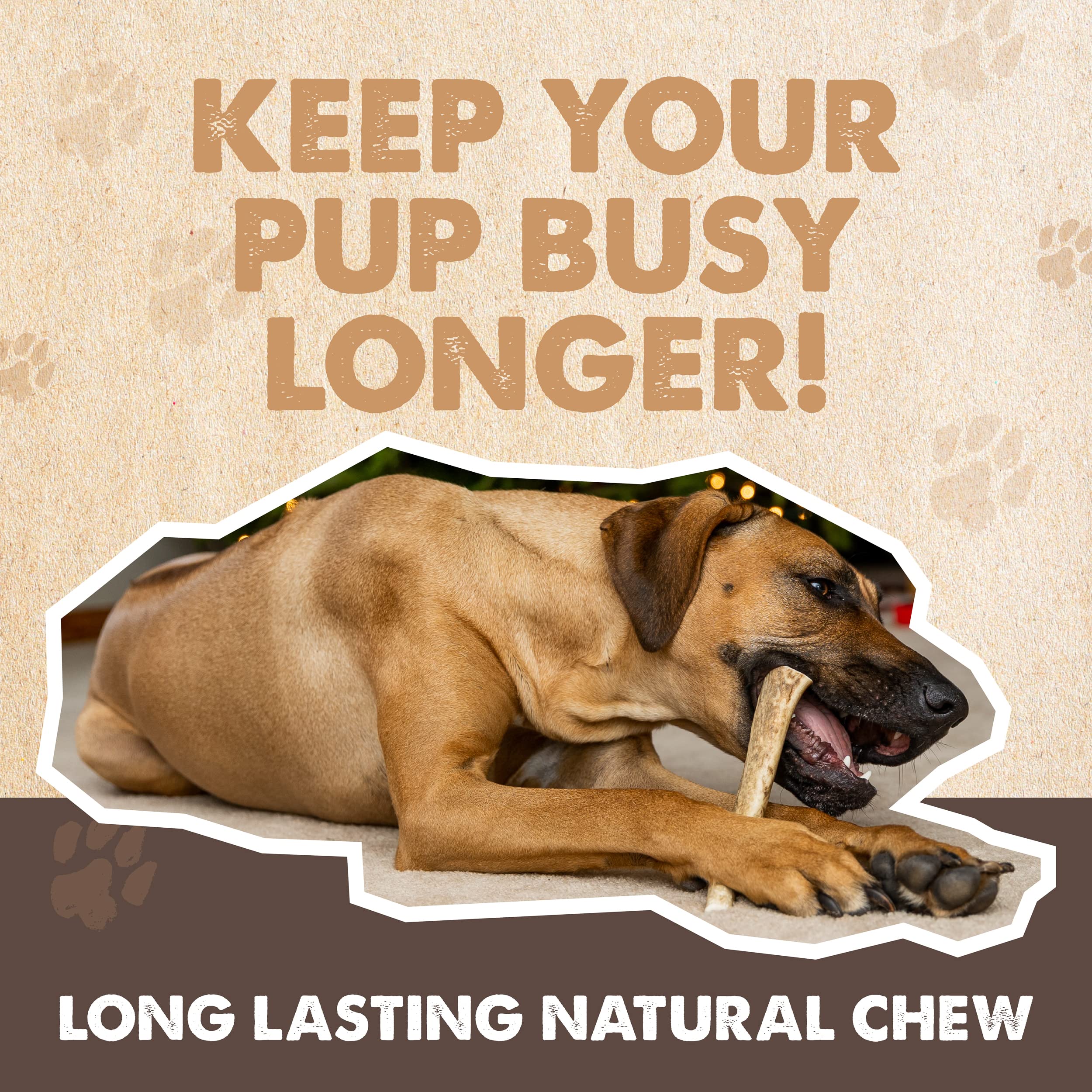 Mighty Paw Elk Antlers for Dogs | Large Size 8 Premium Deer Antlers, Pets &Puppies. Long Lasting Aggressive Chewers. Dog Antle