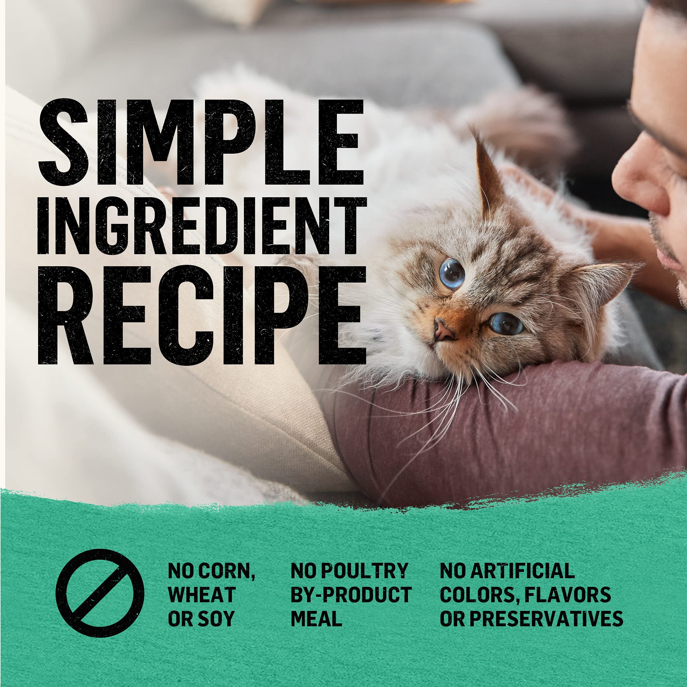 Purina Beyond Grain Free Dry Cat Food, Whitefish & Egg Recipe, 3 lb Bag