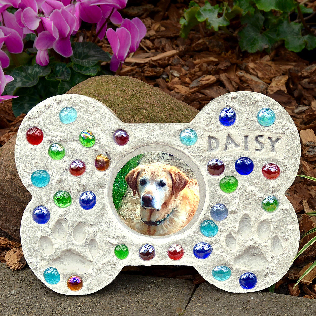 Midwest Products Mosaic Stepping Stone Kit, Pet Photo