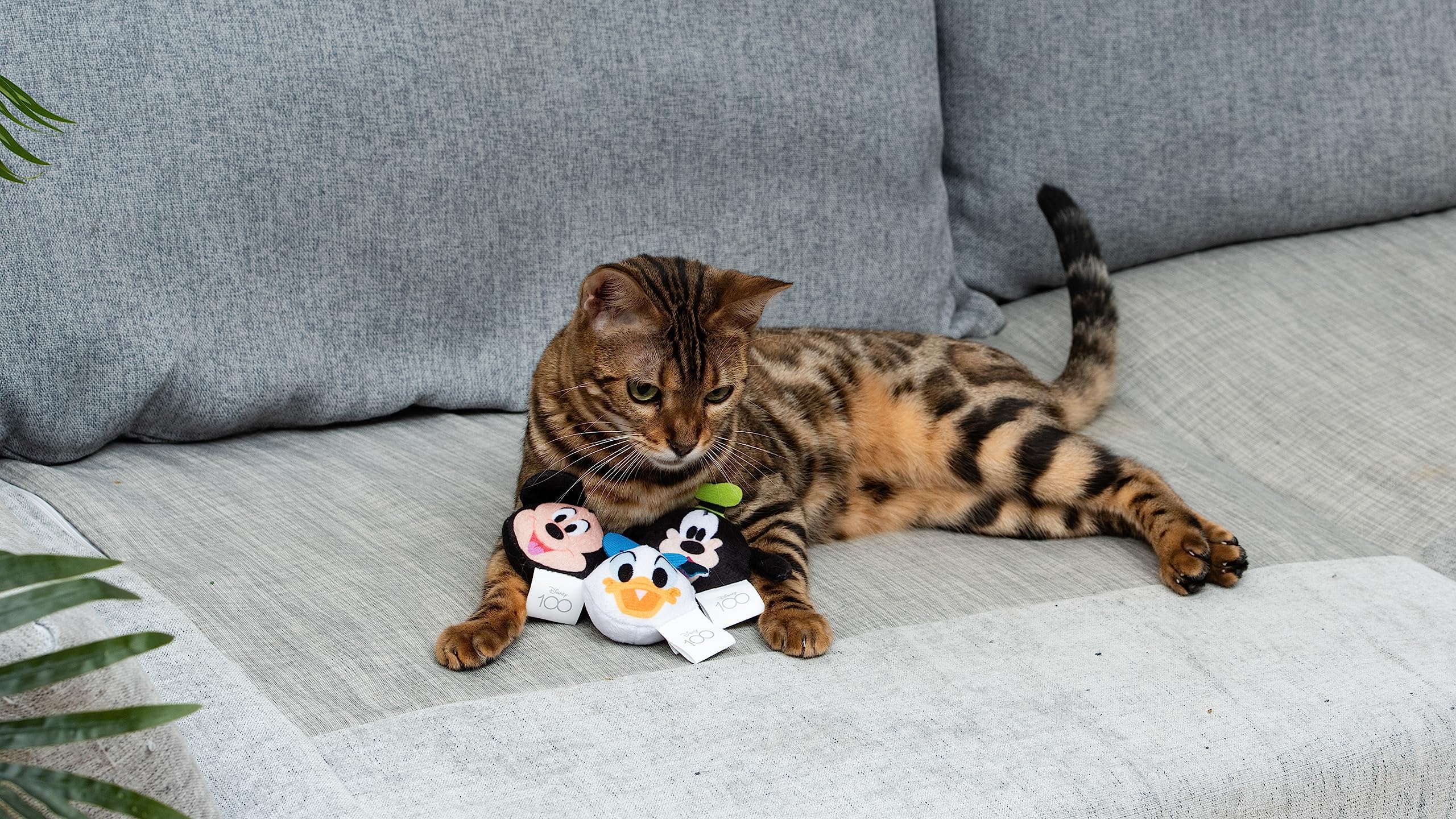 Disney For Pets 3 Piece Jingle Ball Cat Toys, 1.5In | Disney Cat Toys | Mickey Mouse, Goofy, And Donald Duck Cat Ball Toys With