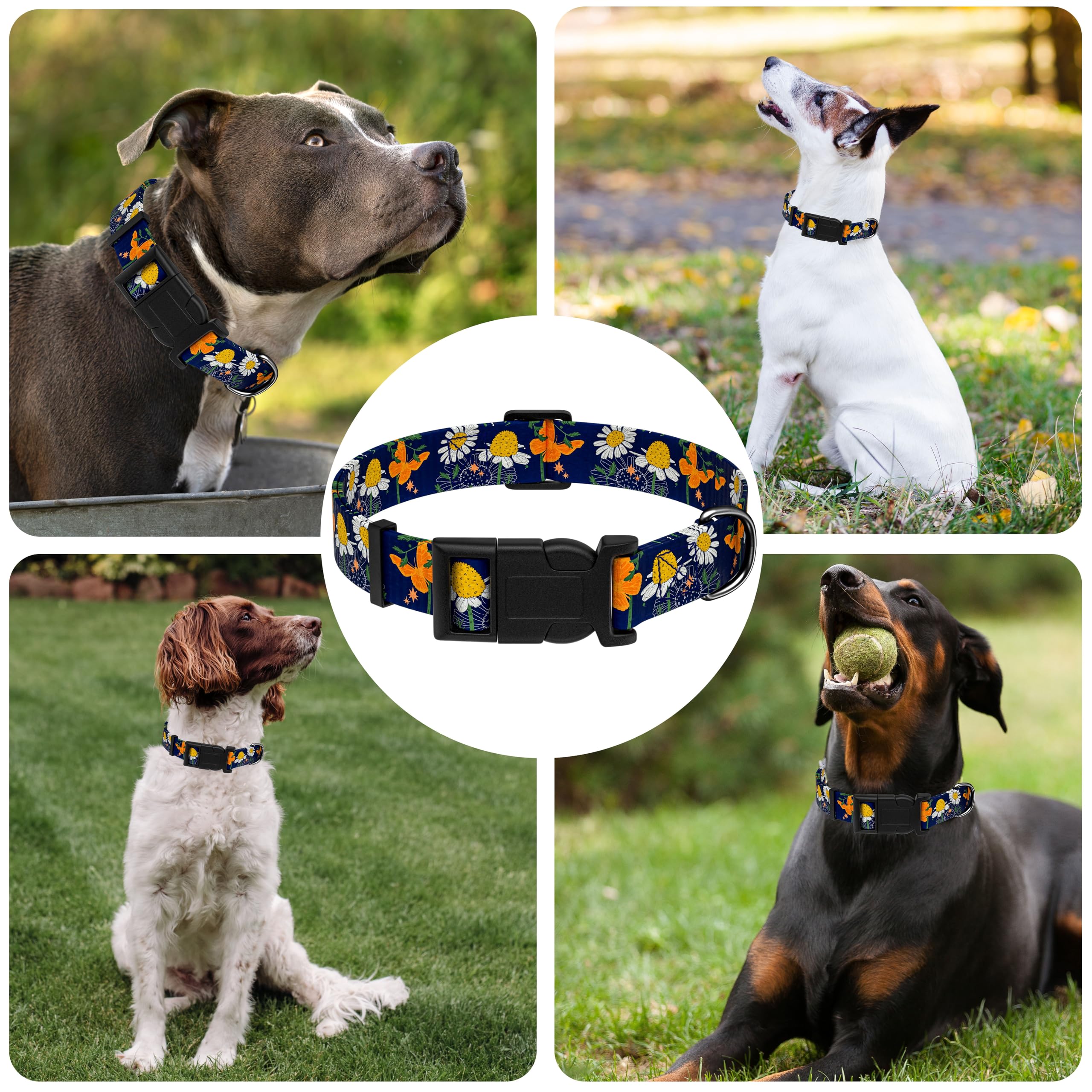 Seyezo Dog Collar With Butterflies Print, Daisy Boys Girls Puppy Collar For Small Medium Large Dogs, Adjustable Soft Floral Pet