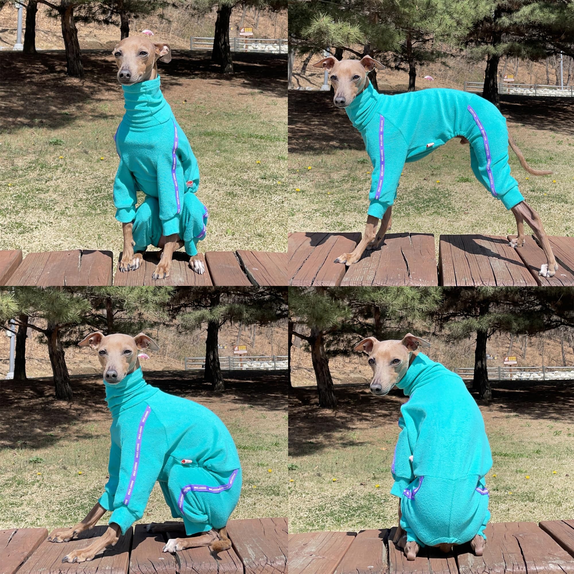 D Doggy Star Italian Greyhound Clothes Stretchy Towel Sports Onesie Outfit Whippet For Dog Coat (2Xl,Twl Turquoise)