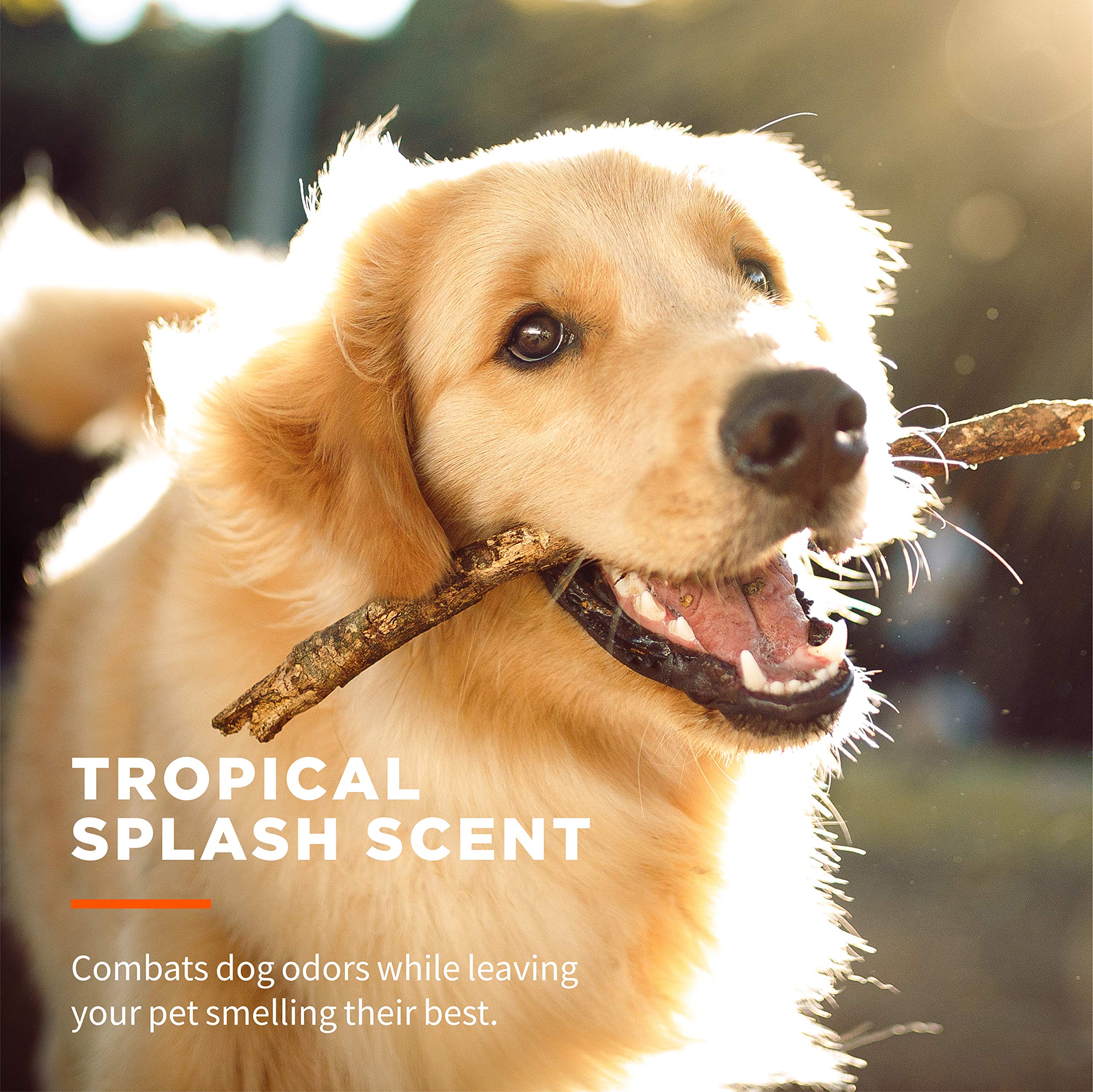 Wet Ones For Pets Multi-Purpose Dog Wipes With Aloe Vera | Dog Wipes For All Dogs In Tropical Splash, Wet Ones Wipes For Paws & All Purpose | 50 Ct Cannister Dog Wipes