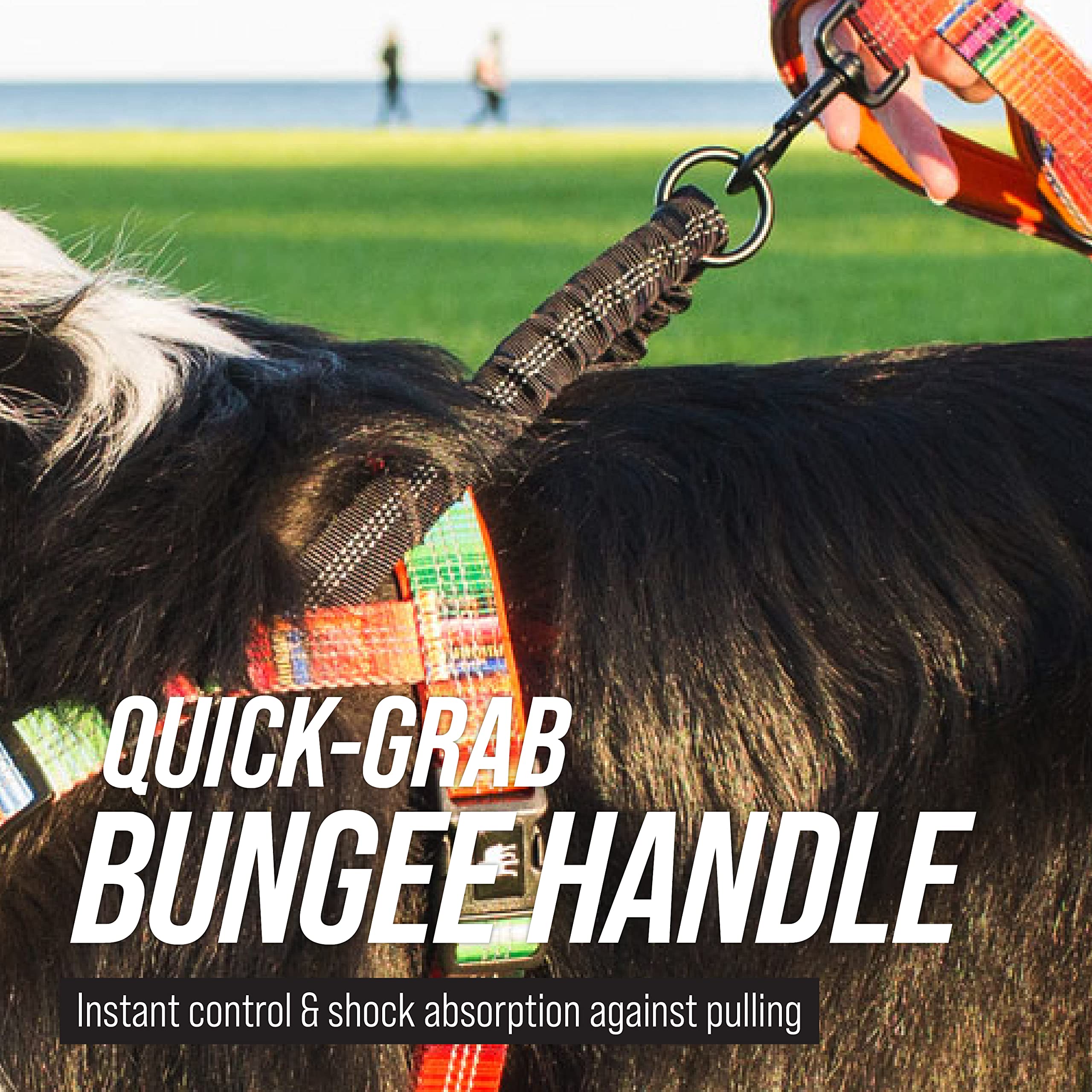 Leash Boss No Pull Dog Harness, Easy Walk For Small, Medium, And Large Pets, Reflective With Rear And Front Clip Attachment (Blanket Pattern, Medium)