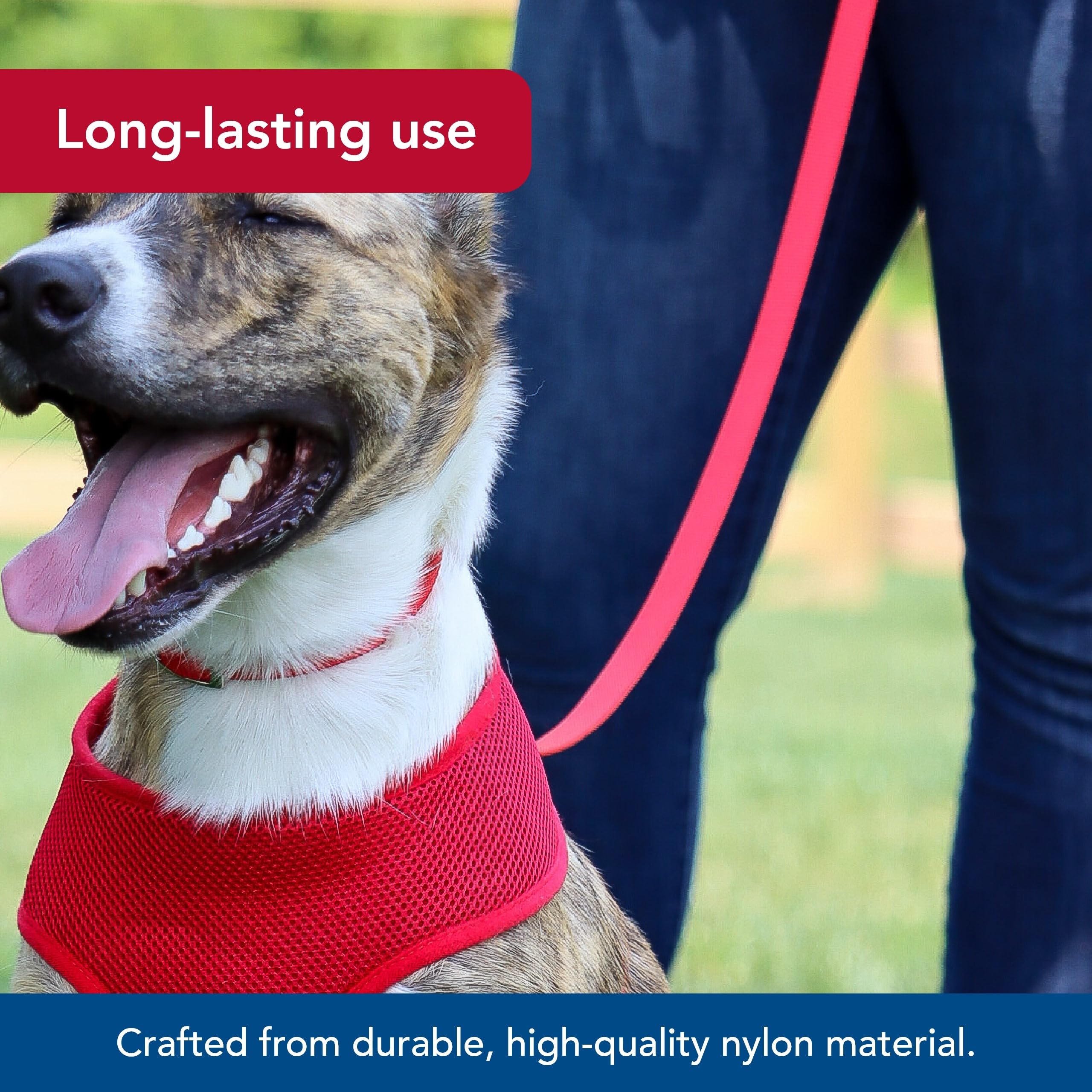 Coastal Pet Single-Ply Dog Leash - Sturdy Pet Leash - Comfortable & Stylish - Resists Fraying - Vibrant & Fade-Resistant Color - Pink Bright, 3/4' X 6'