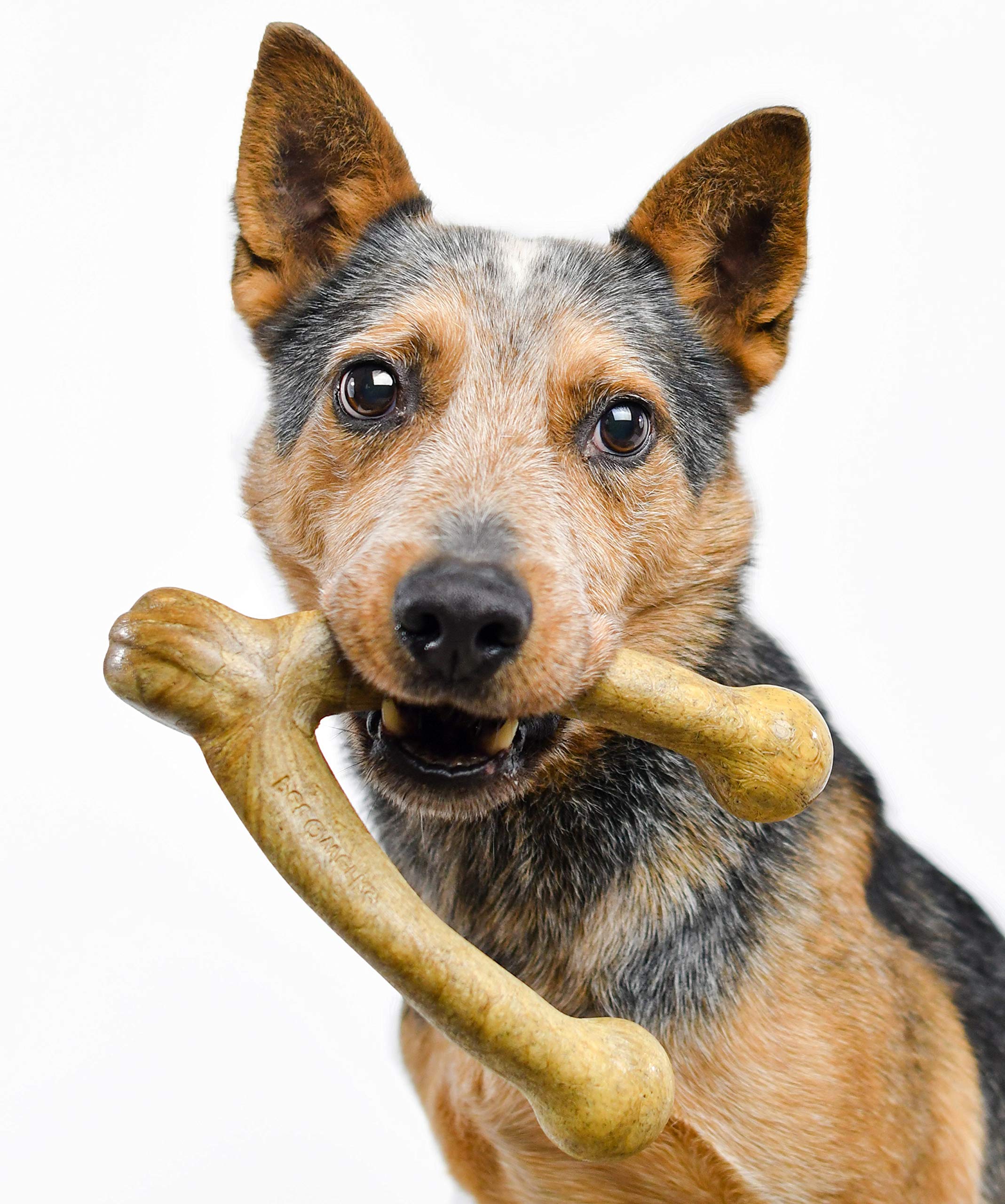 Pet Qwerks Wishbone Barkbone - Nylon Chew Toy For Aggressive Chewers - Peanut Butter Flavor - 8.25'