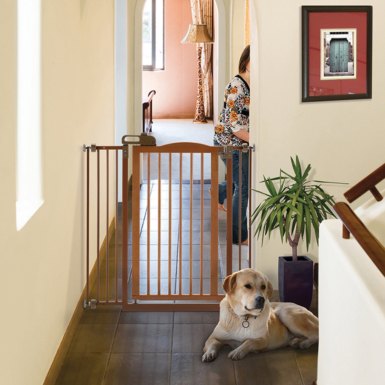 Richell Tall One-Touch Gate Ii, Dog Gate, Dog Gate, 38.4' H Tall Pet Gate, Autumn Matte