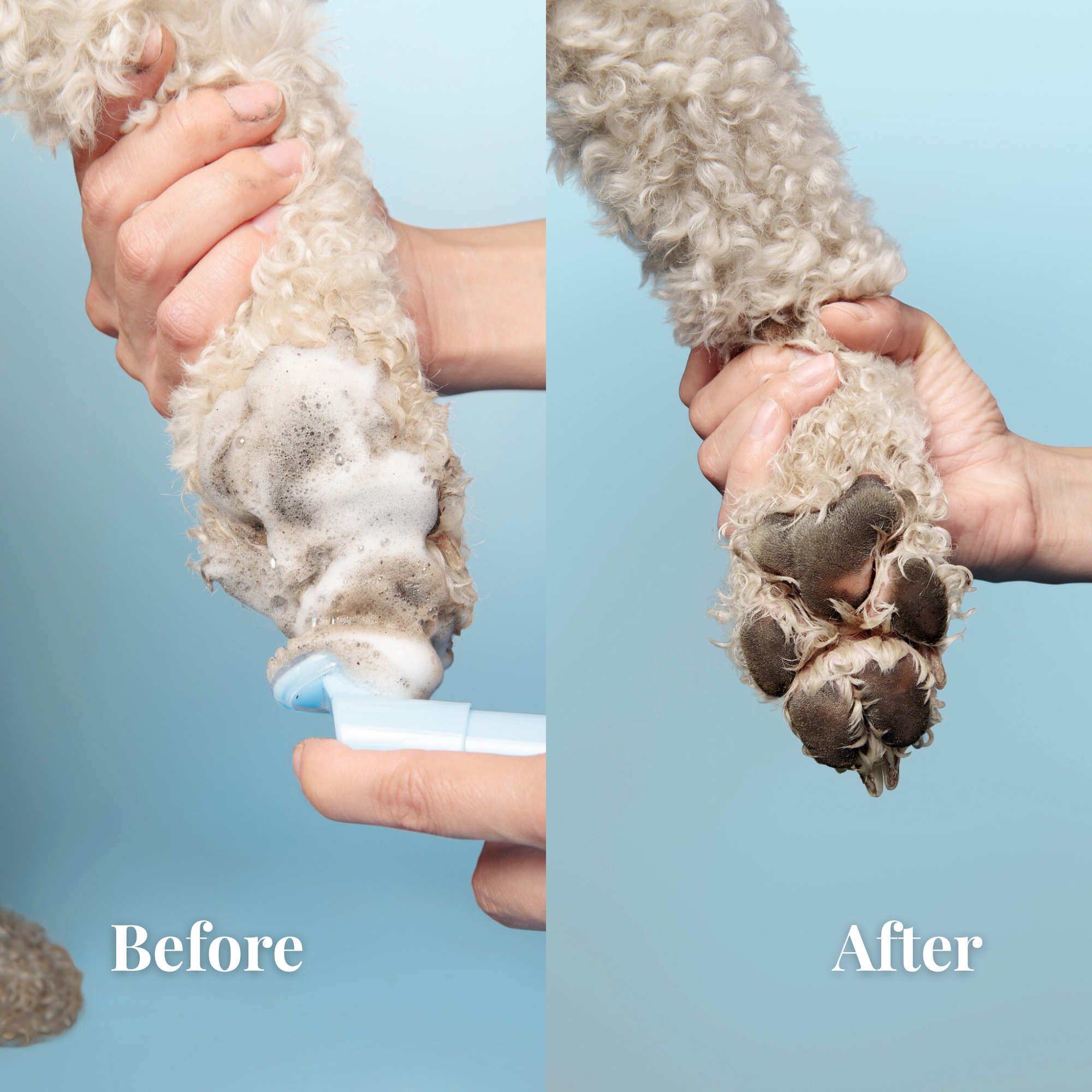 Paw Care Duo
