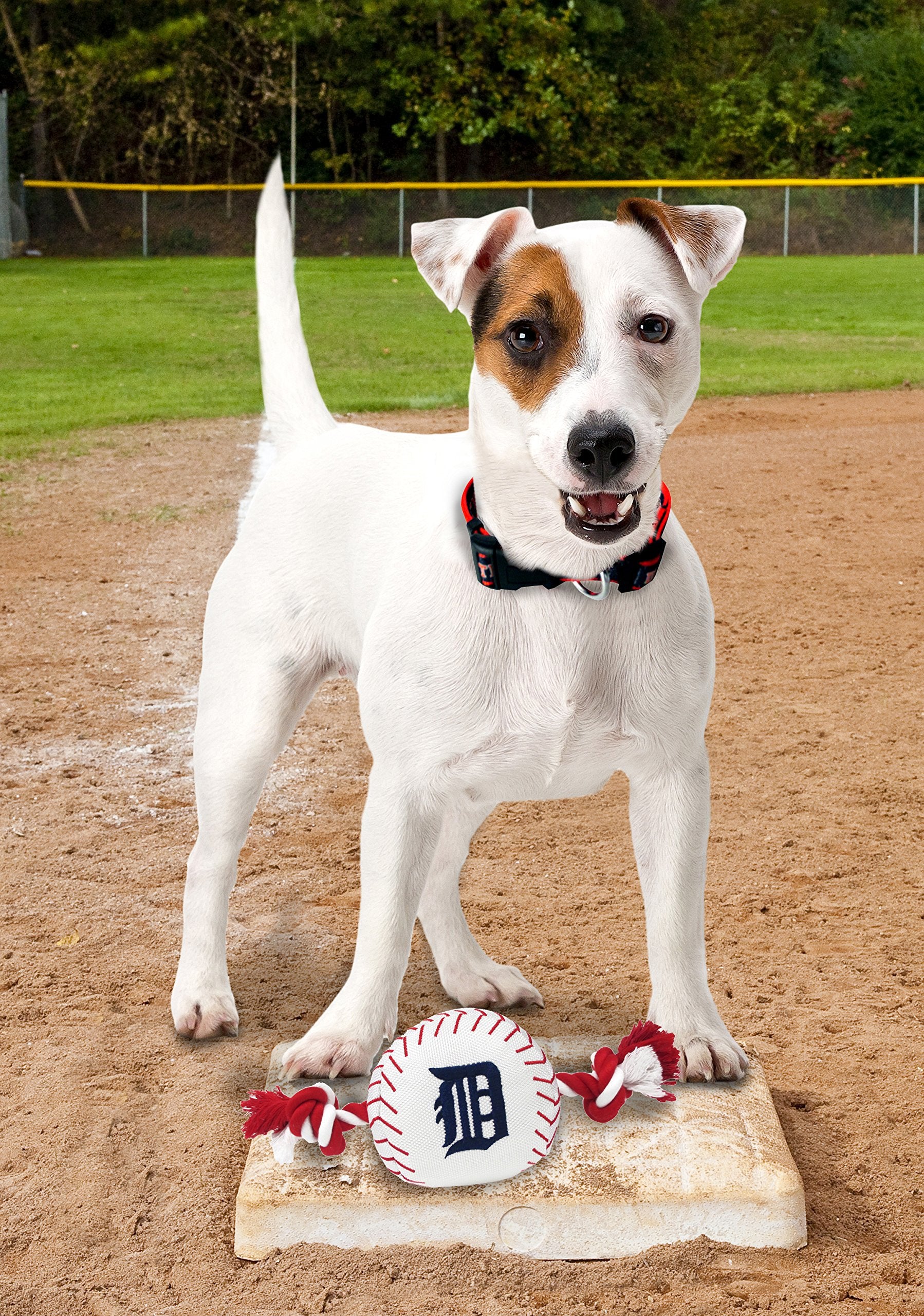 Mlb Detroit Tigers Baseball Rope Toy For Dogs & Cats. Tough Nylon, Sporty Baseball Design, Heavy-Duty Ropes With Inner Squeaker