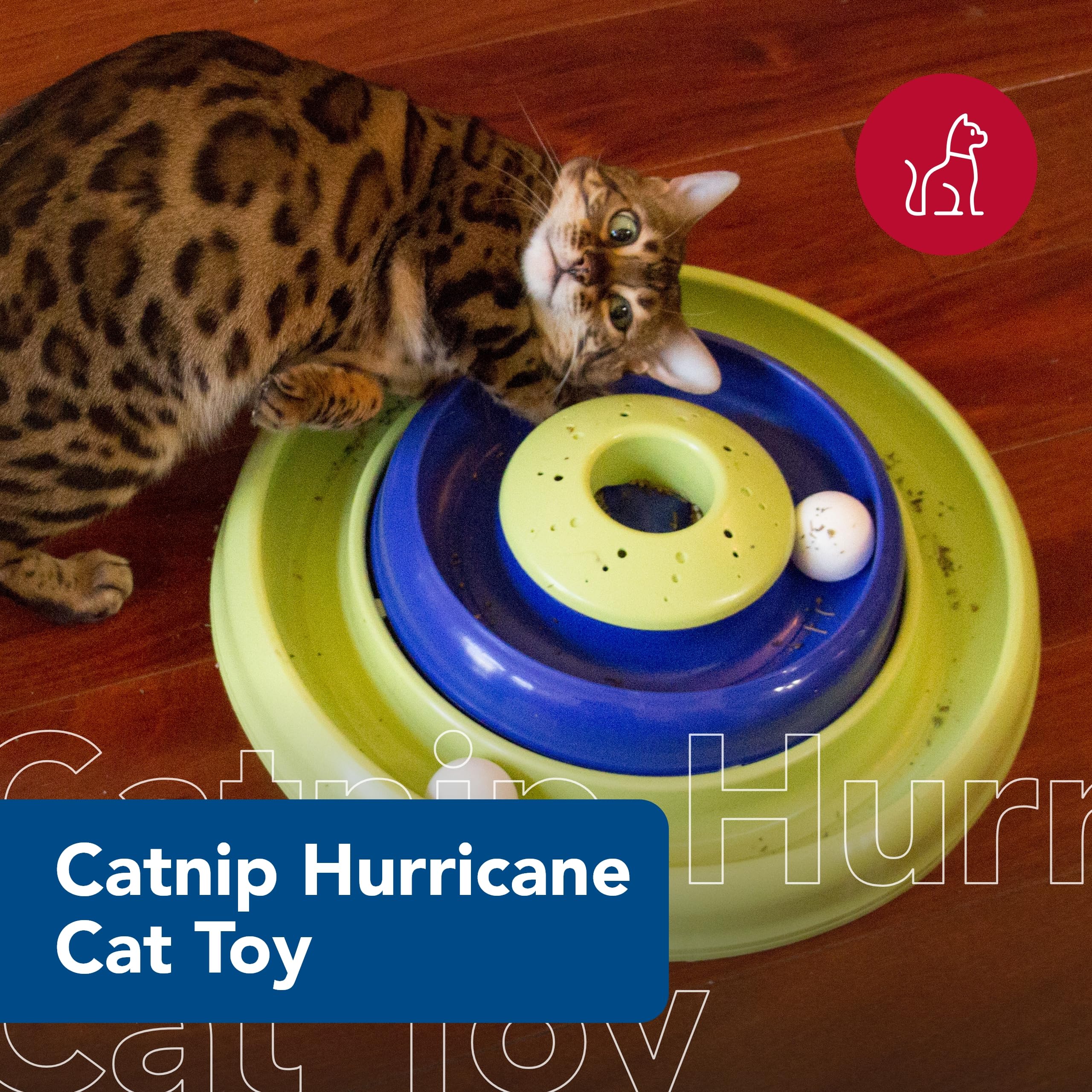 Coastal Pet Turbo Catnip Hurricane Cat Toy - Interactive Double Cat Toy Ball Track - For Cats And Kittens - Green And Blue - 16'
