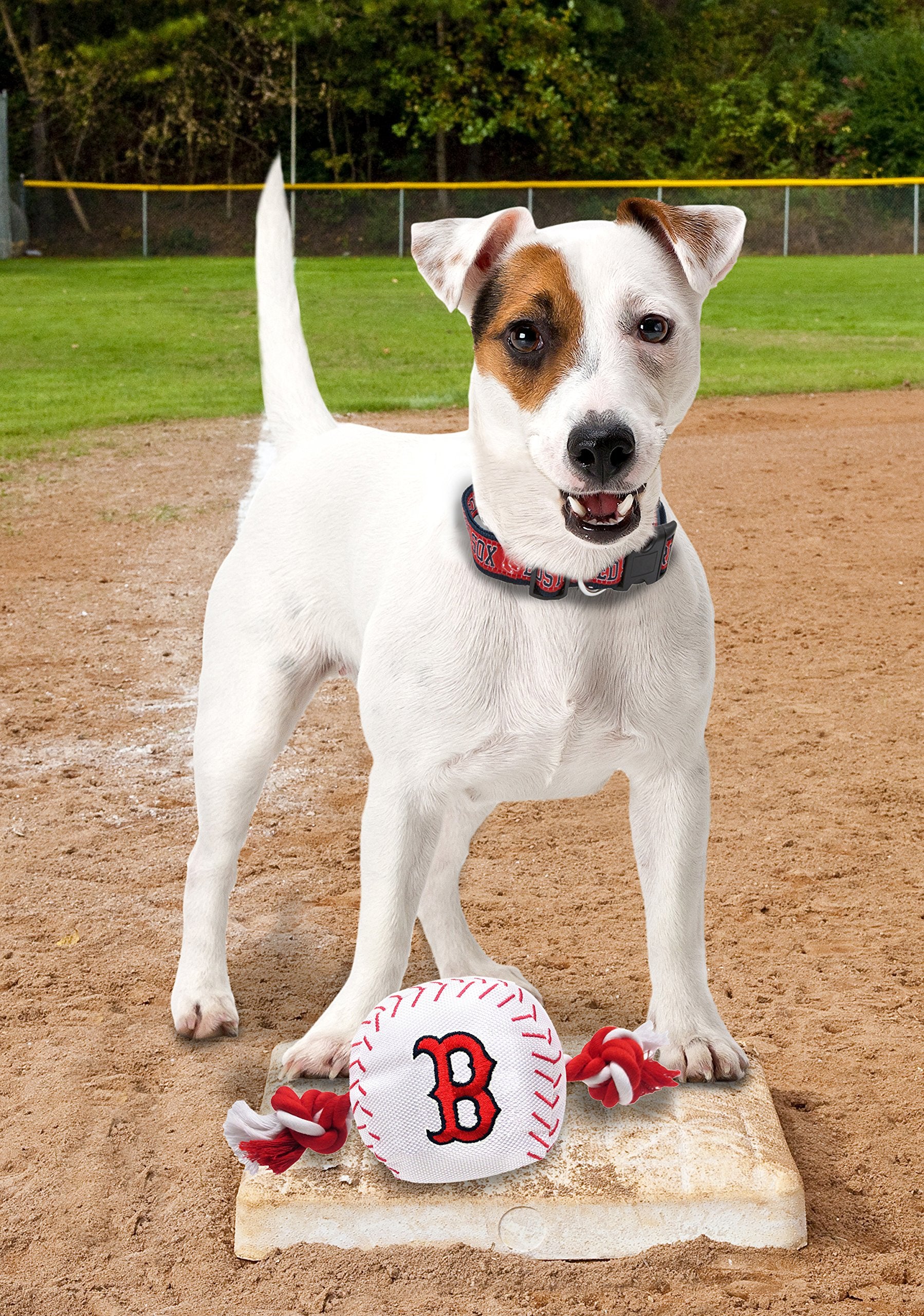 Mlb Boston Red Sox Baseball Rope Toy For Dogs & Cats. Tough Nylon, Sporty Baseball Design, Heavy-Duty Ropes With Inner Squeaker