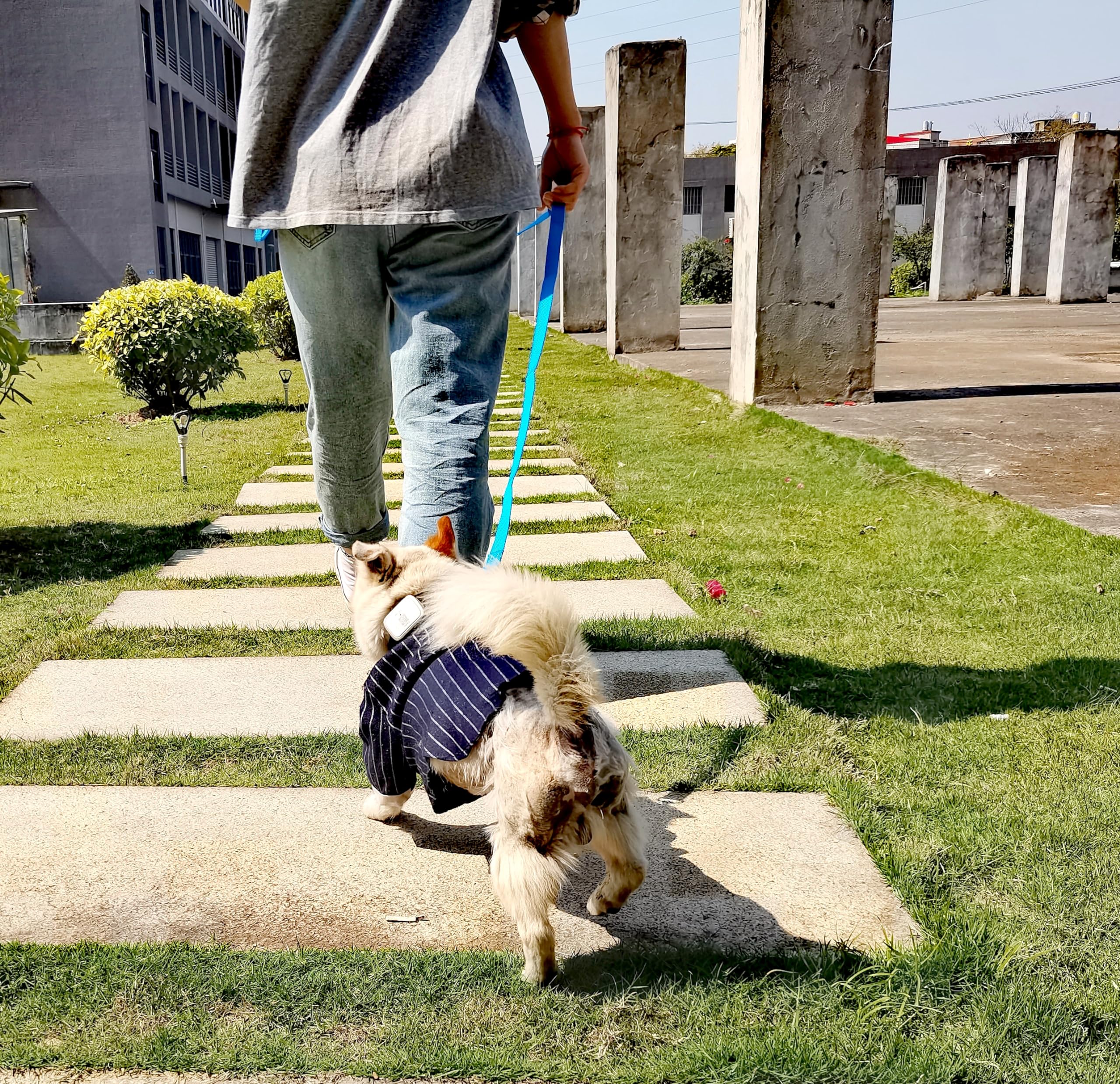 OEFEO 6FT Reflective Dog Leash for Large&Medium and Small Dogs, Strong and Durable Nylon Leashes for Walking and Training, Heavy Duty 6 Foot Dog Leash with D Ring for Puppy (Turquoise, 5/8 inch X 6FT) -Like New