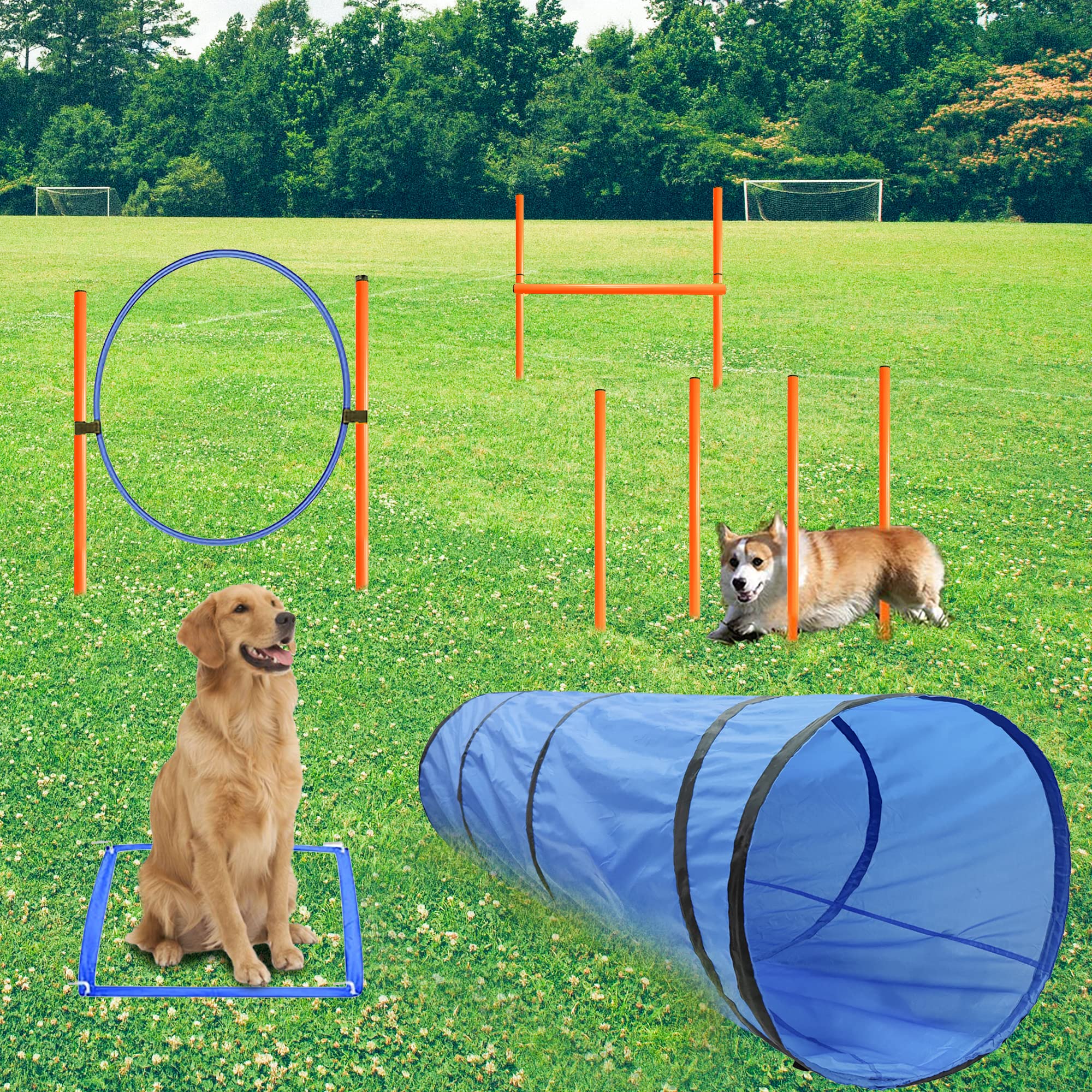 Geerduo Dog Agility Training Equipment, Obstacle Agility Training Starter Kit For Doggie, Including Tunnel, 13 Weave Poles, Adju