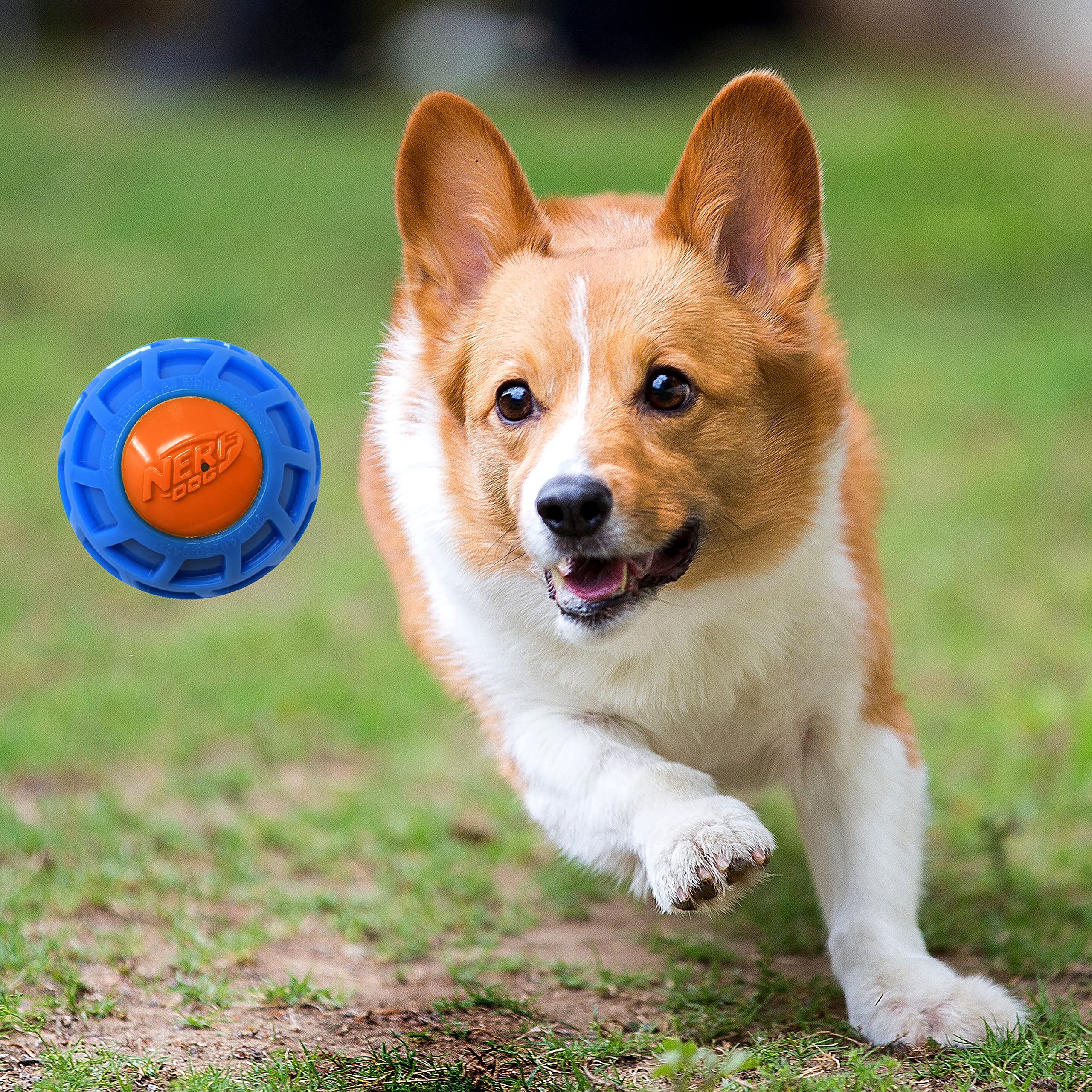 Nerf Dog 3In Tpr Exo Squeak Ball - Blue/Orange