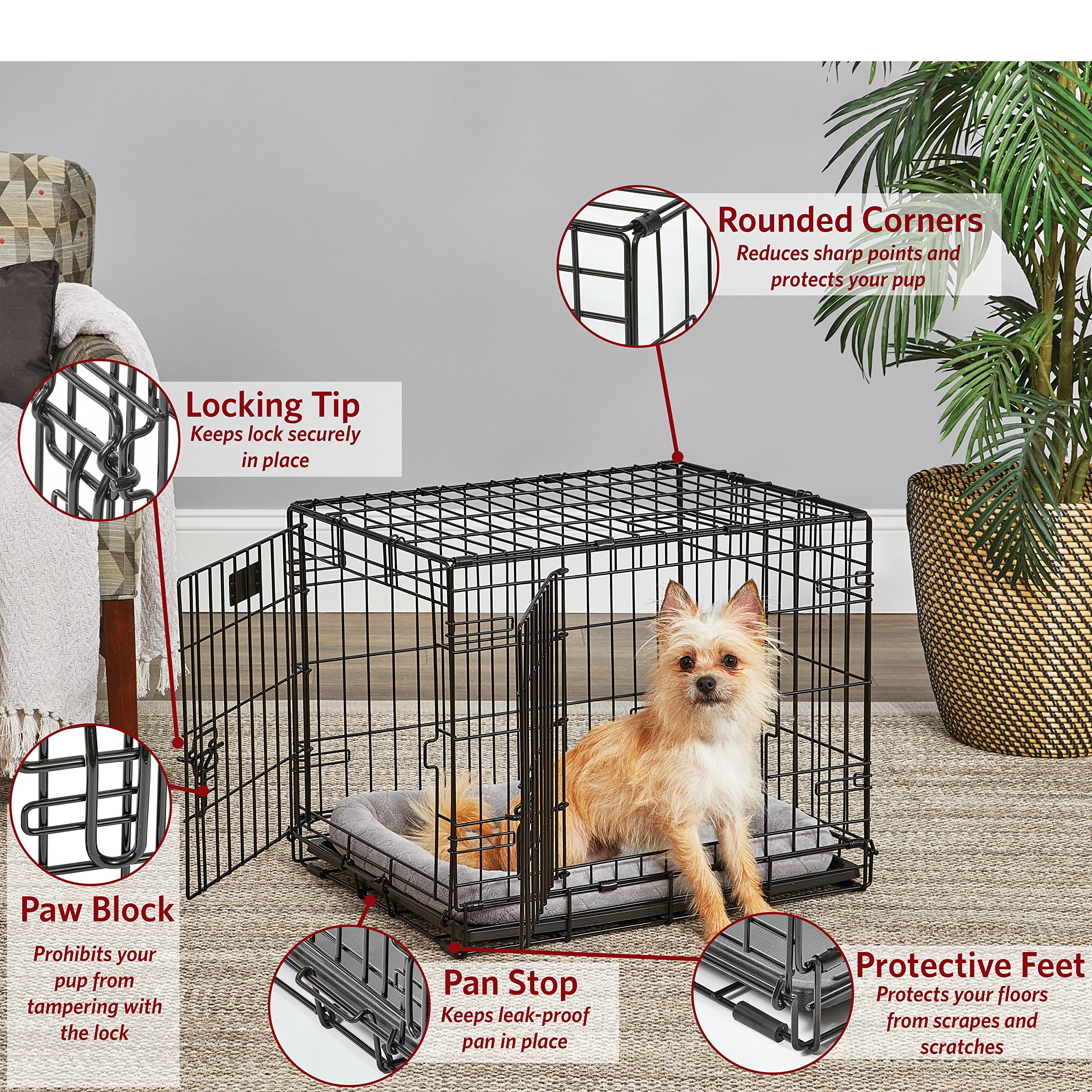 MidWest Homes for Pets 24 Double Door Folding Metal Dog Crate - Small Dog Crate with Divider Panel, Leak-Proof Pan, Black