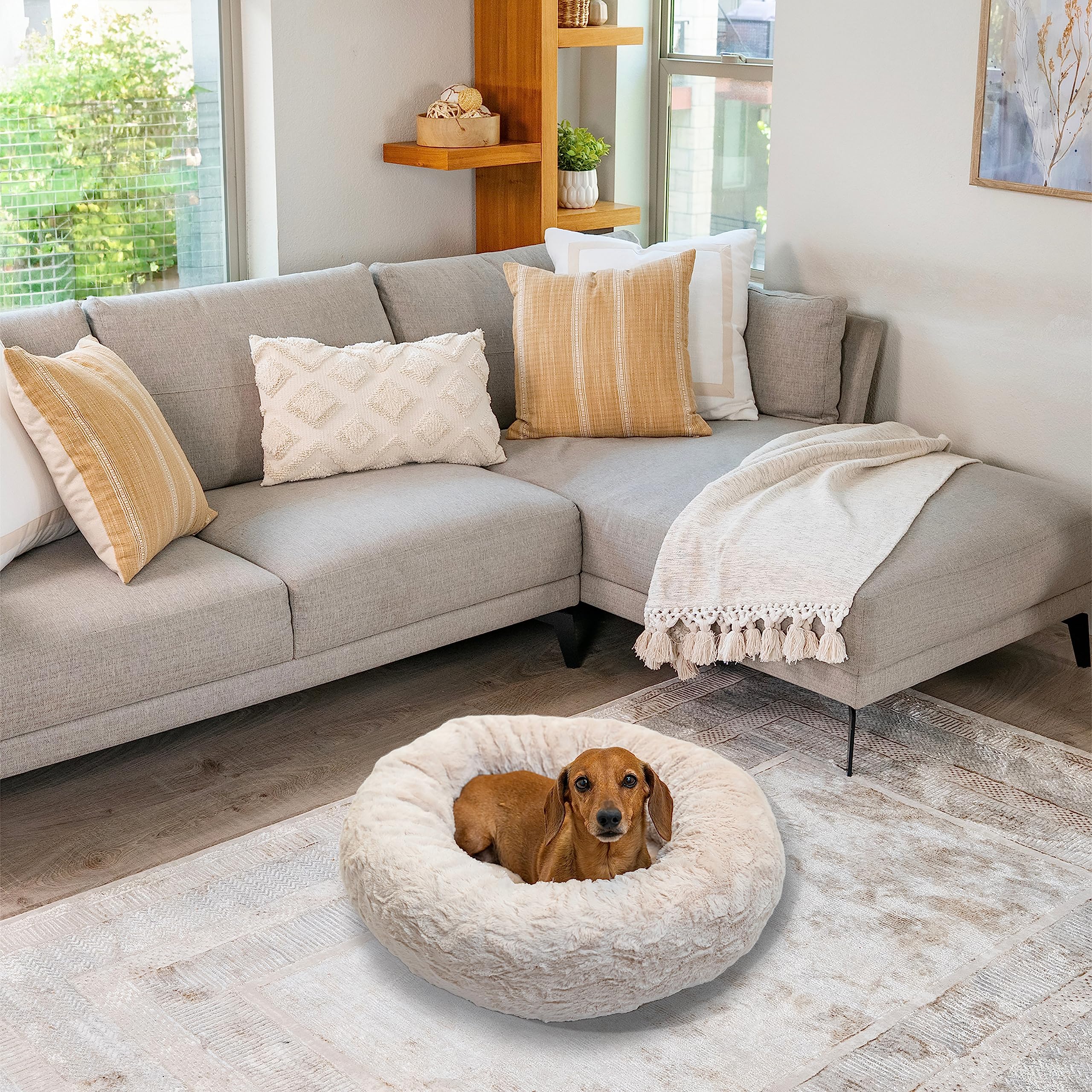 Best Friends by Sheri Calming Donut Cat & Dog Bed, Small 23", Luxurious Plush, Lux Oyster, Model 4684