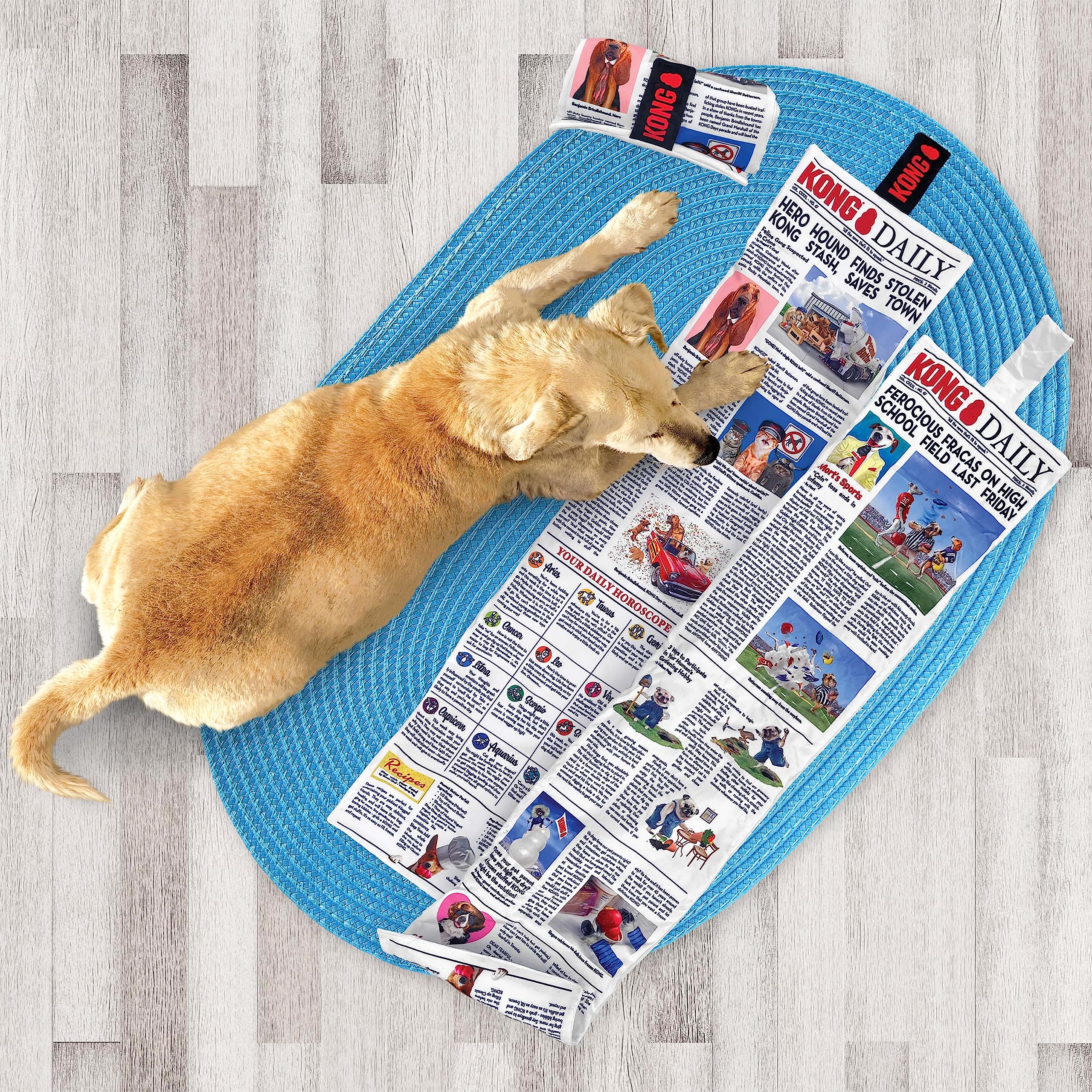 Kong Daily Newspaper Roll Xl 3 Feet Long With 6 Squeakers