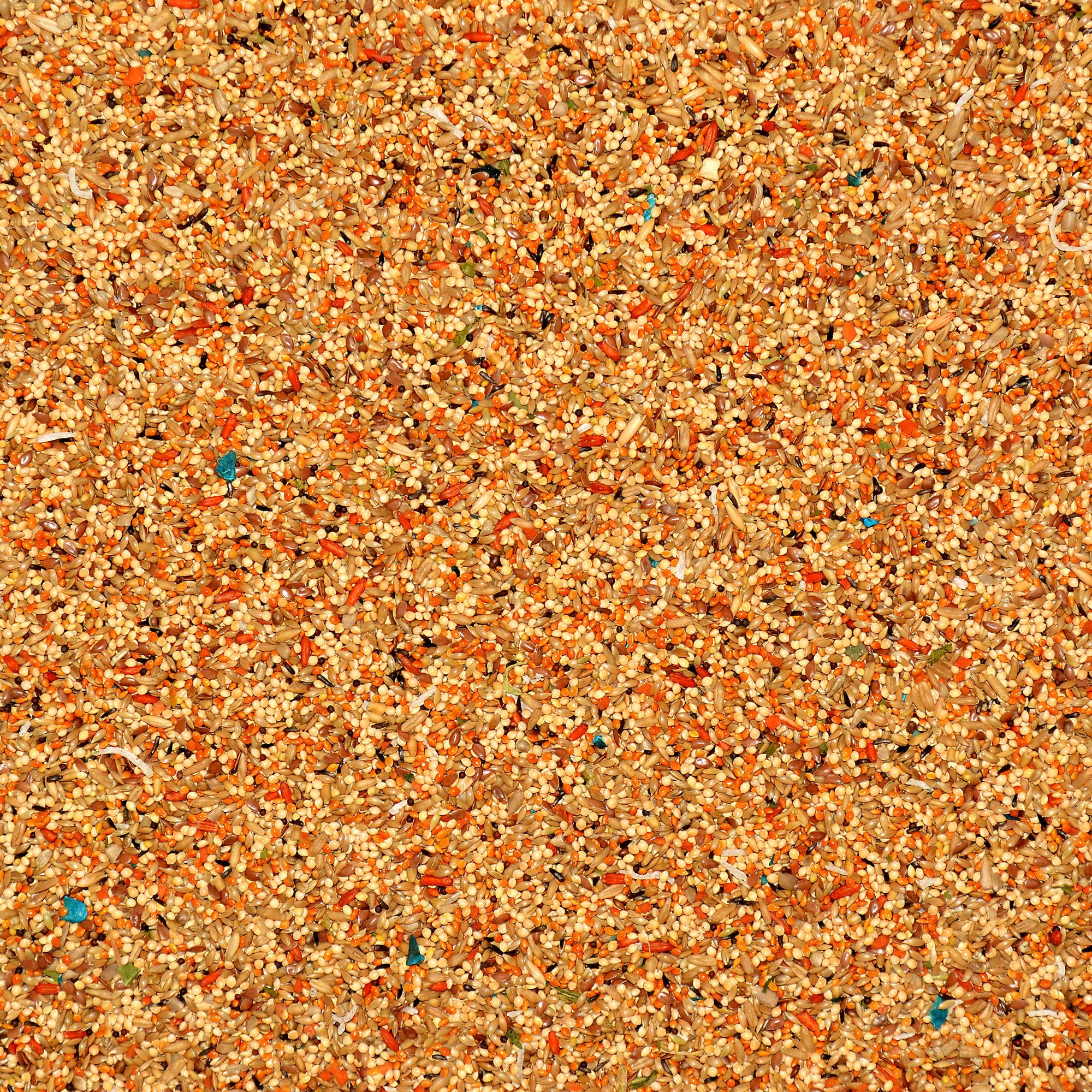 Volkman Avian Science Super Parakeet Bird Food 4lb