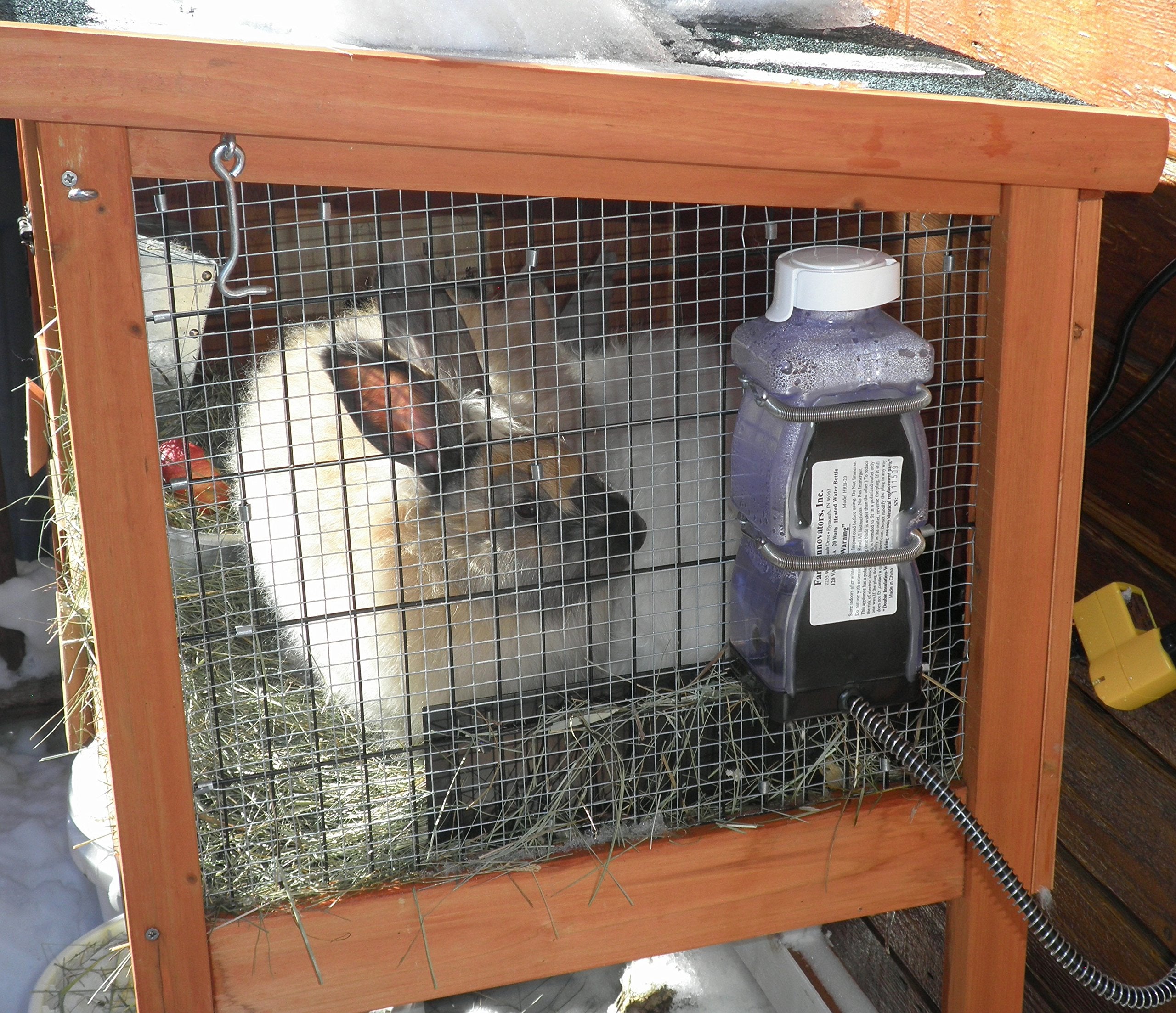 Farm Innovators Model Hrb-20 Heated Water Bottle For Rabbits, 32-Ounce, 20-Watt, 4.2 X 4.2 X 11.5 Inches ; 1 Pounds, White