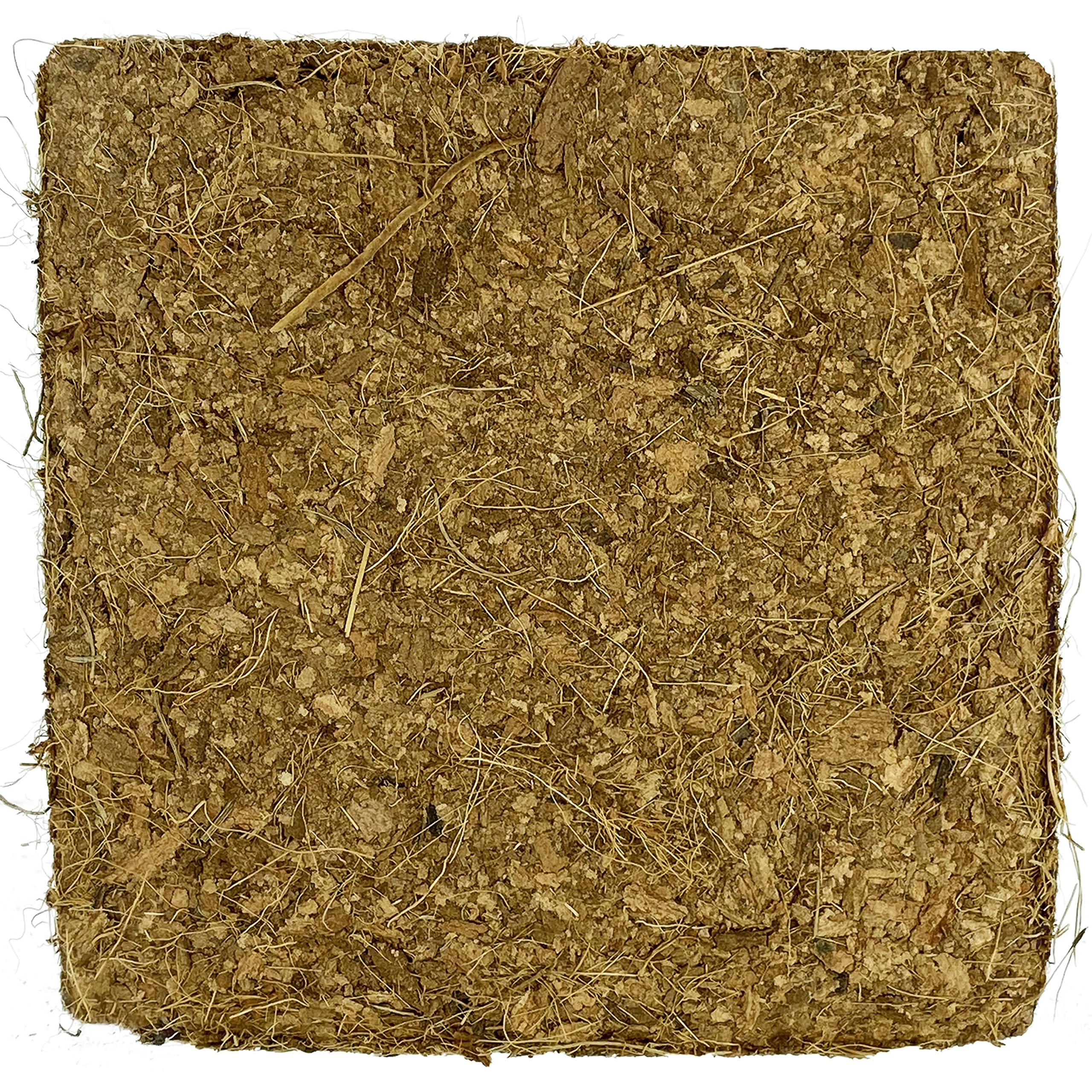 Komodo Coconut Coir Peat 3 Brick Pack | 100% Natural Coconut Coir Reptile Terrarium Habitat Bedding | For Tropical Or Desert Environments | Fits Up To A 60 Gallon Tank