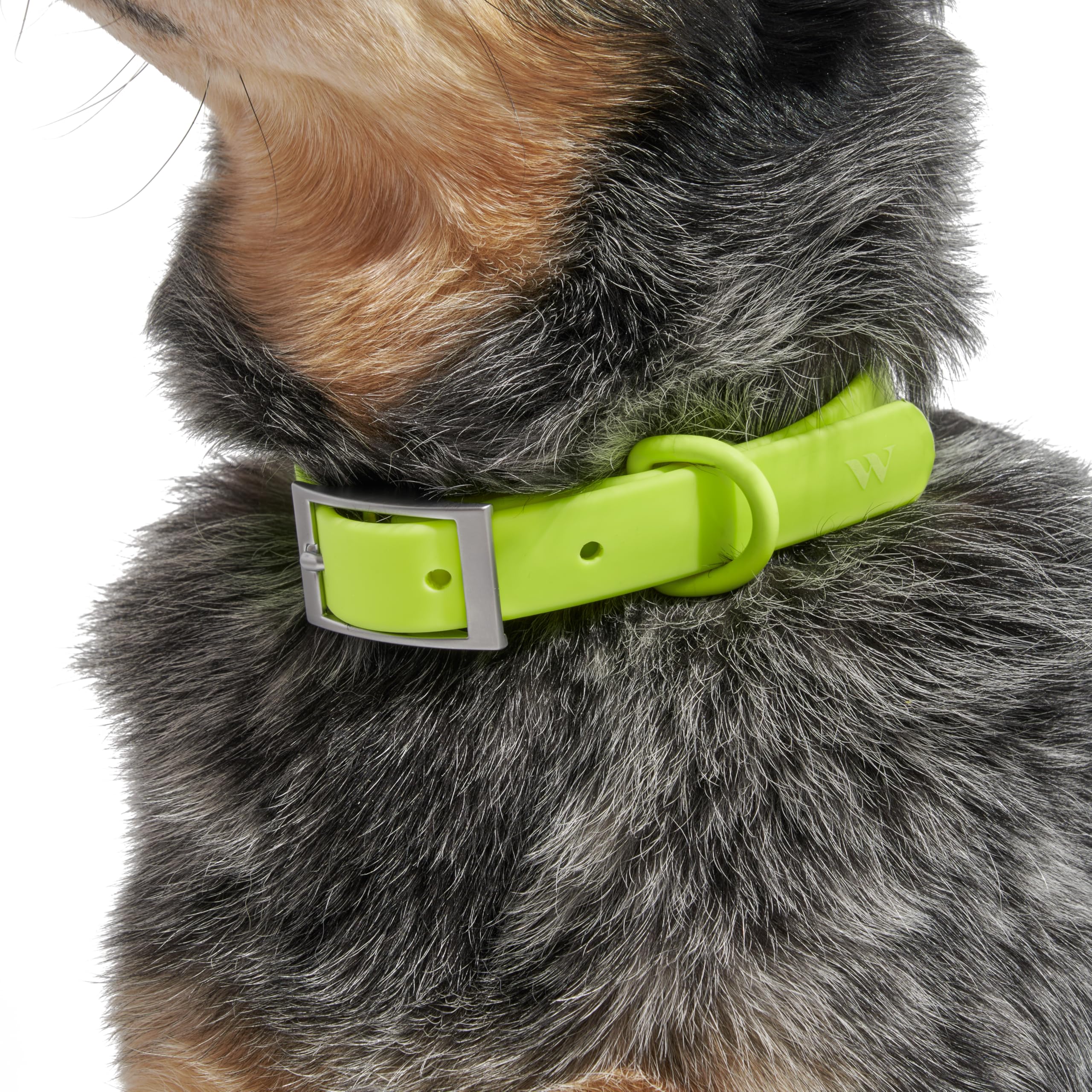 Wild One Dog Collar - Easy-Clean Flex-Poly, Durable, Limeade, Size S, Model WO-CLR-S-LMA