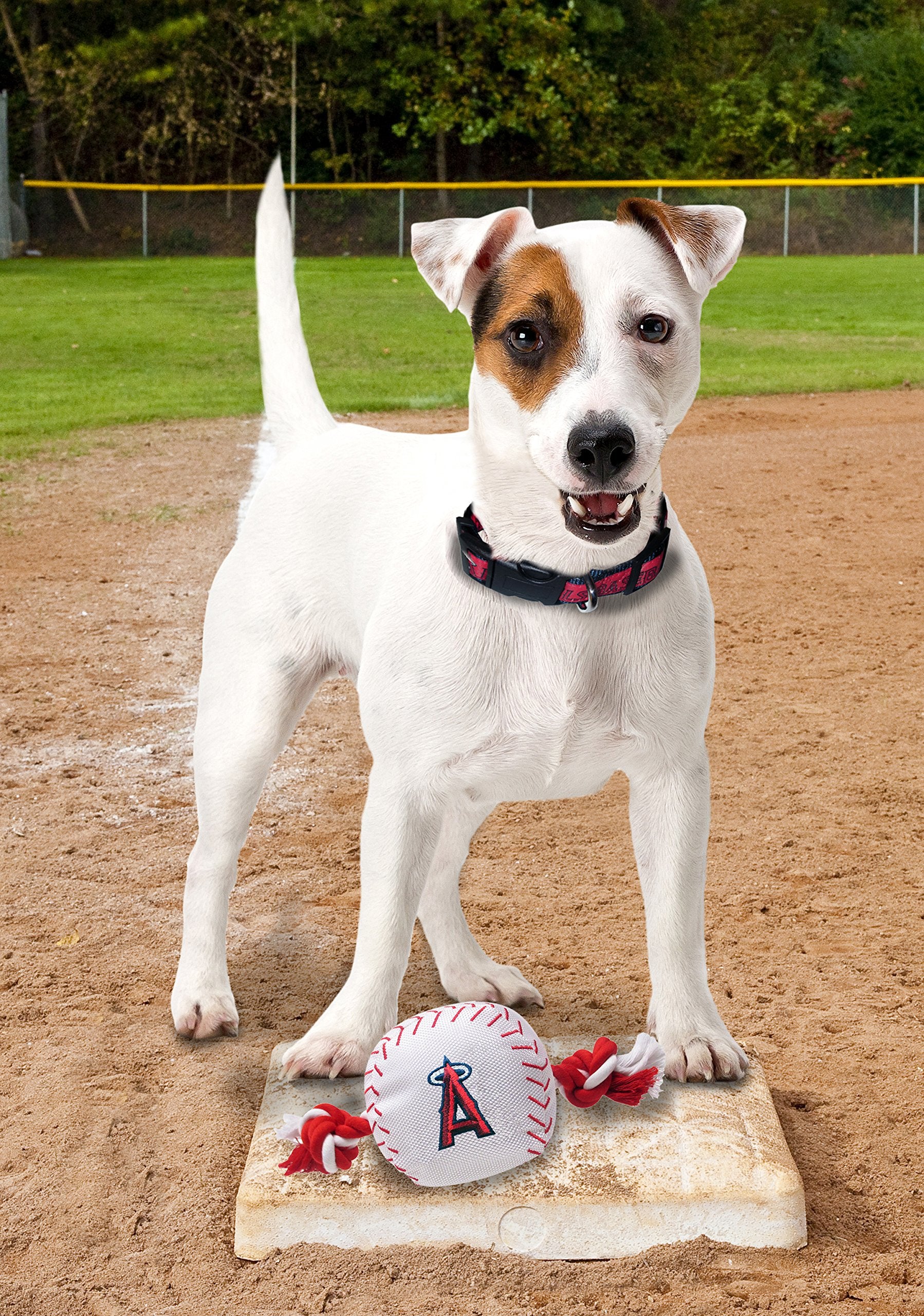 Mlb Los Angeles Angels Baseball Rope Toy For Dogs & Cats. Tough Nylon, Sporty Baseball Design, Heavy-Duty Ropes With Inner Squeaker