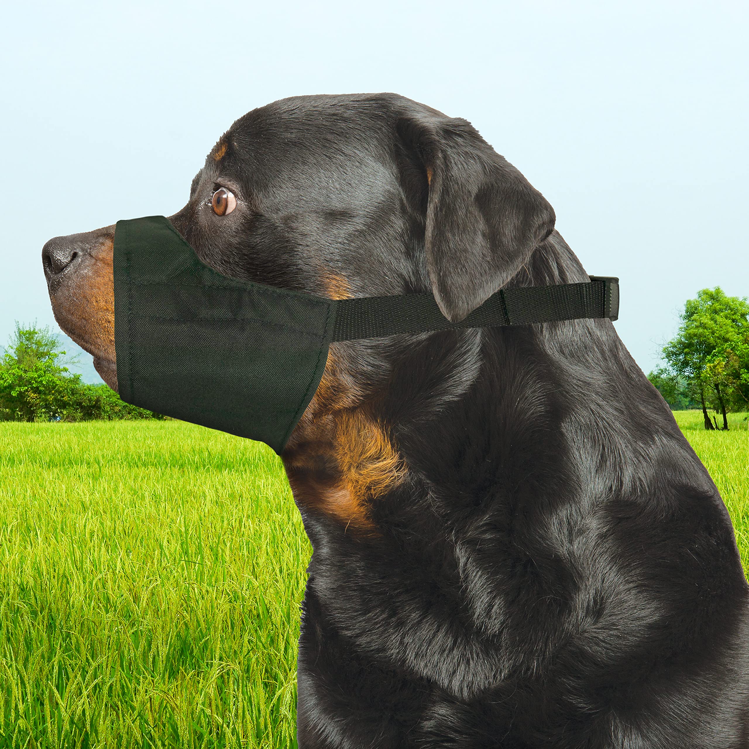 Four Paws Walk-About Quick-Fit Adjustable Dog Muzzle For Large Dogs, Washable & Breathable, Black, 1 Count