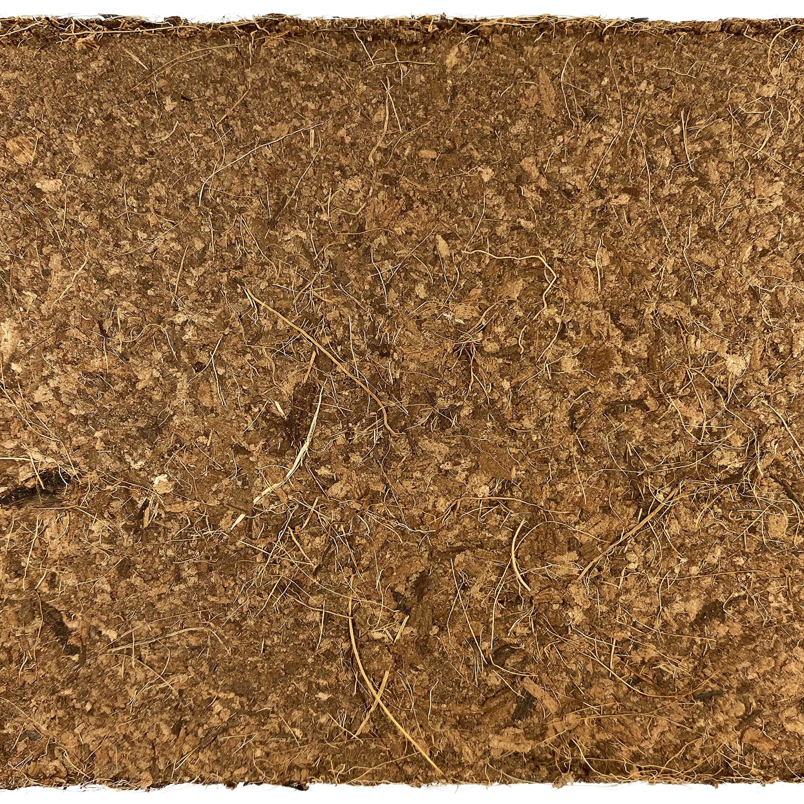 Komodo Coconut Coir Peat 3 Brick Pack | 100% Natural Coconut Coir Reptile Terrarium Habitat Bedding | For Tropical Or Desert Environments | Fits Up To A 60 Gallon Tank