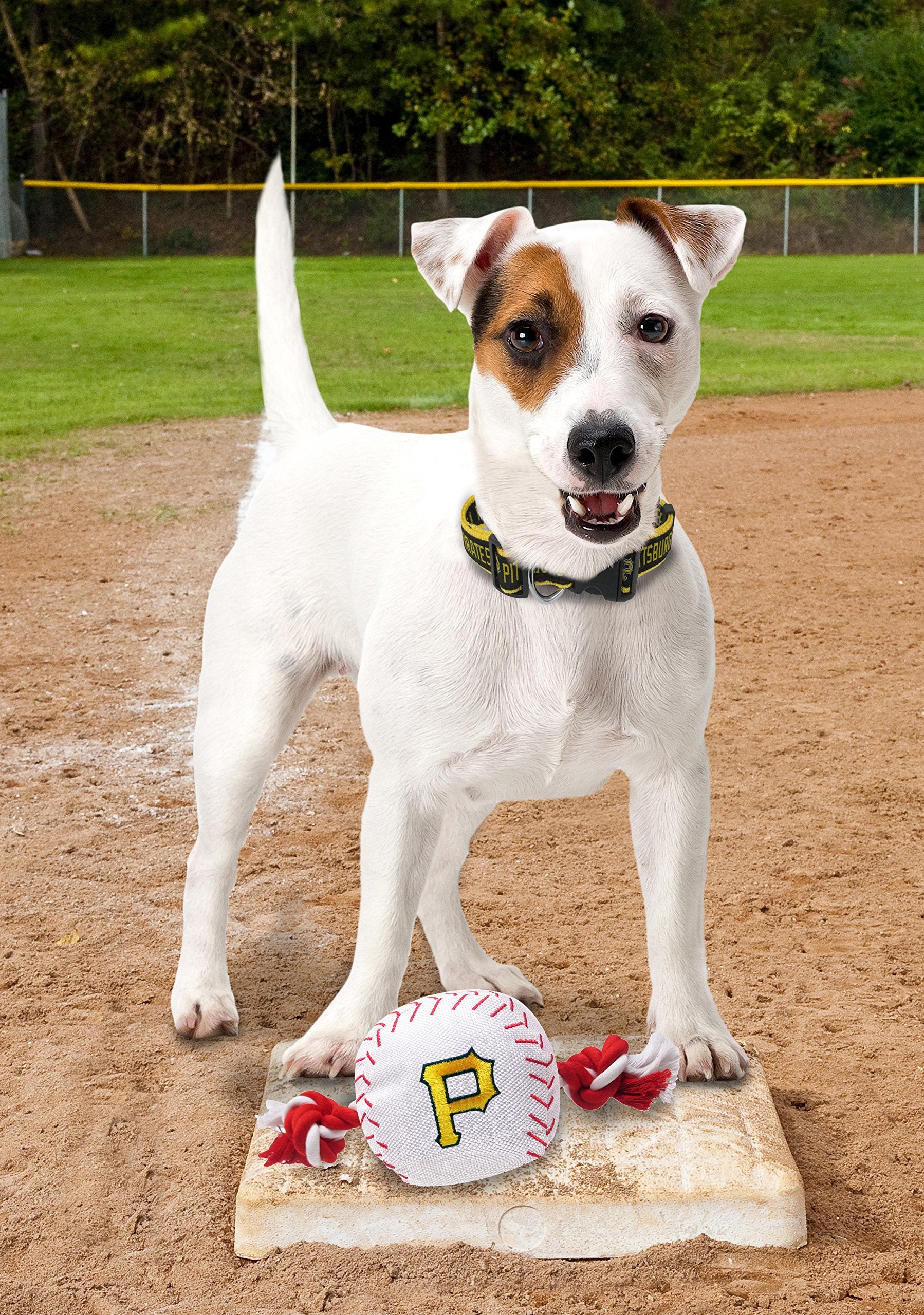 Mlb Pittsburgh Pirates Baseball Rope Toy For Dogs & Cats. Tough Nylon, Sporty Baseball Design, Heavy-Duty Ropes With Inner Squea