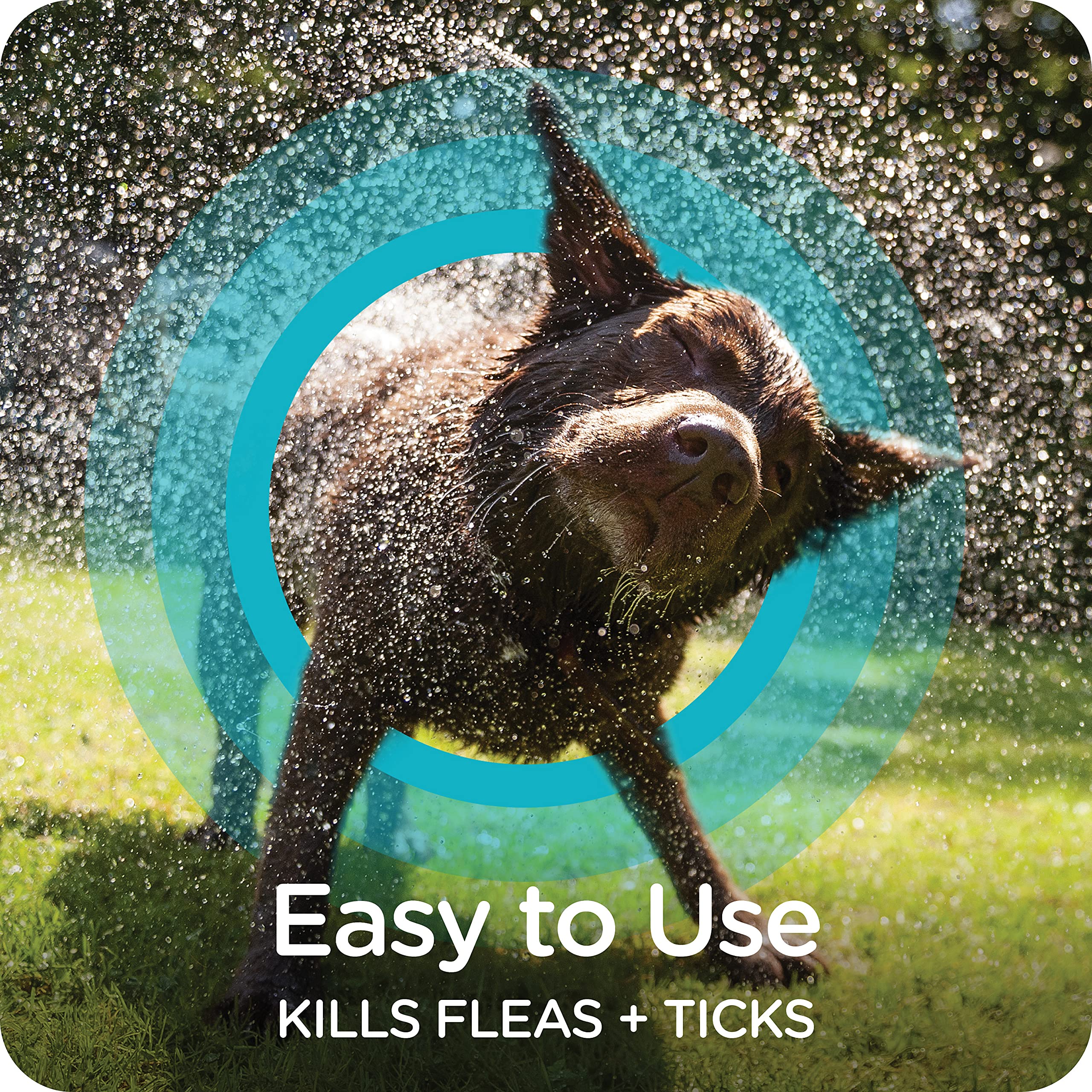 Sergeant'S Guardian Flea & Tick Dog Shampoo, Clean Cotton Scent, 18 Oz.