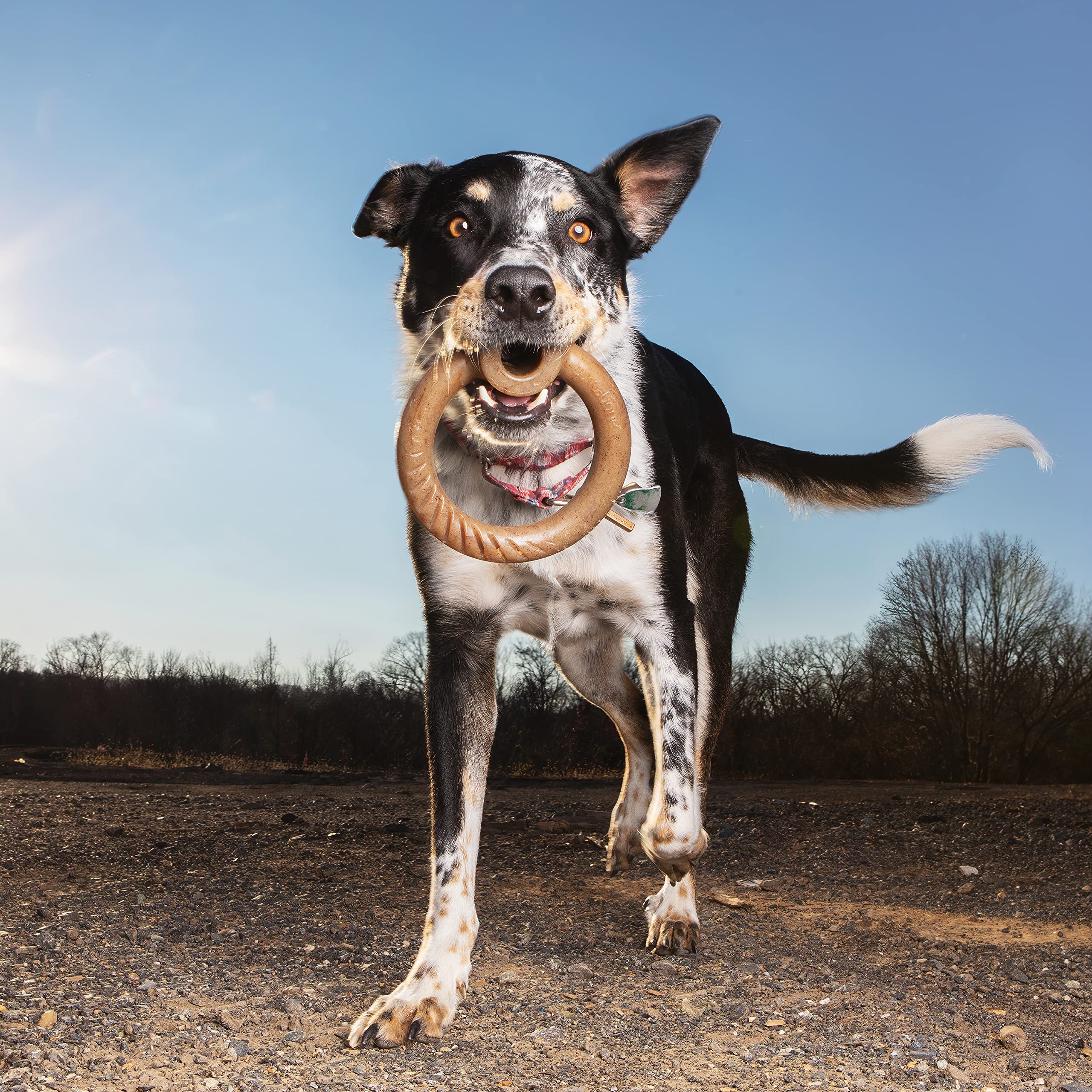 Lumabone Ring Stuffer Durable Chew Toy For Aggressive Chewers, Dog Toys For Aggressive Chewers, Dog Toys, Real Bacon, Made In Usa, Small