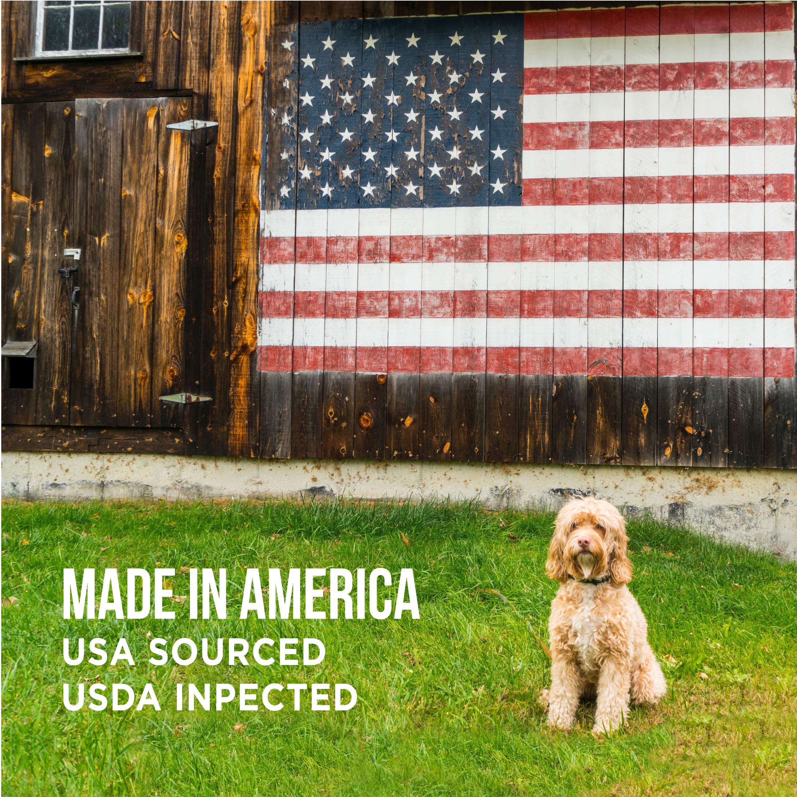 Natural Rapport Beef Trachea Dog Treats - The Only Beef Trachea Chews Dogs Need - All Natural Dog Treats for Small and Large Dog