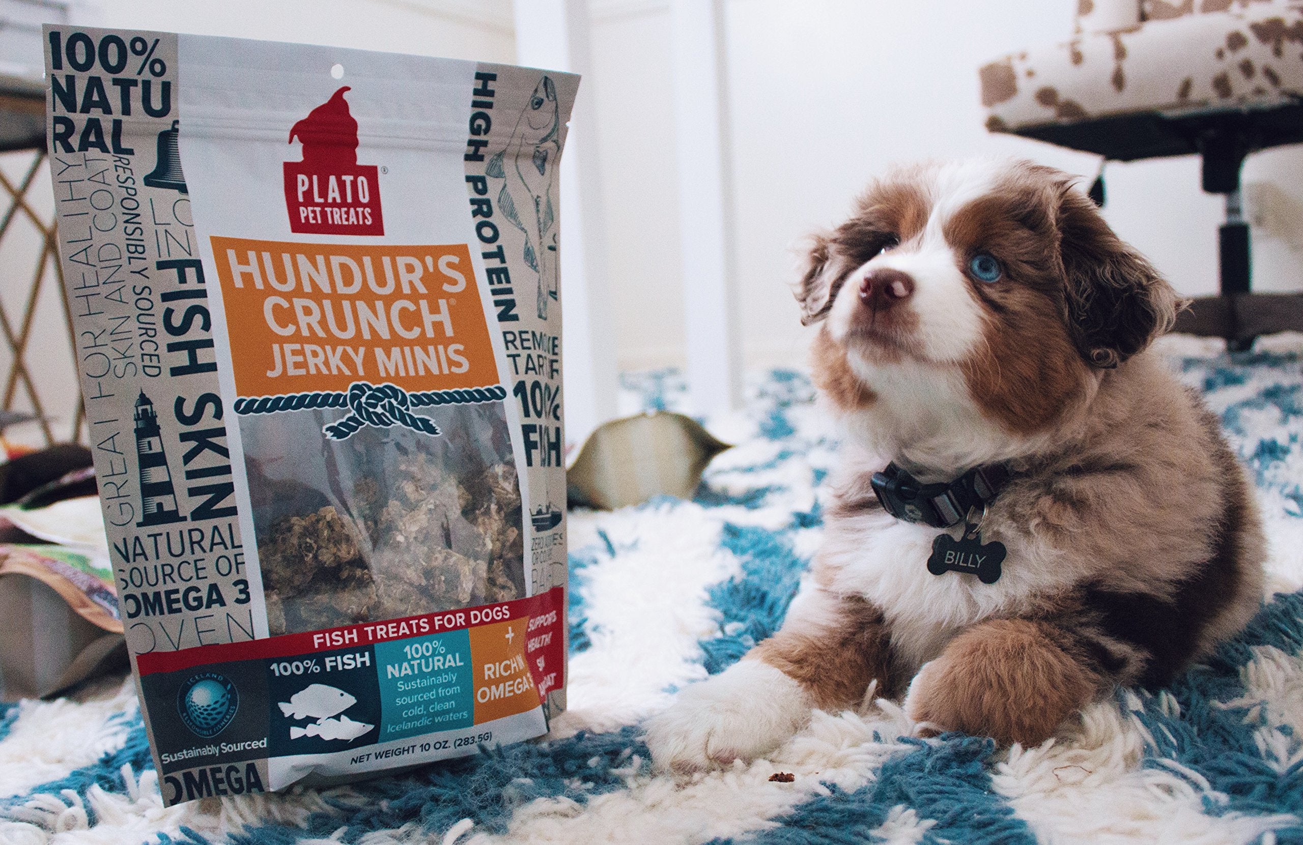 PLATO Crunch Jerky Minis Dog Treats, Natural Flavor, 3.5oz, Model 8960