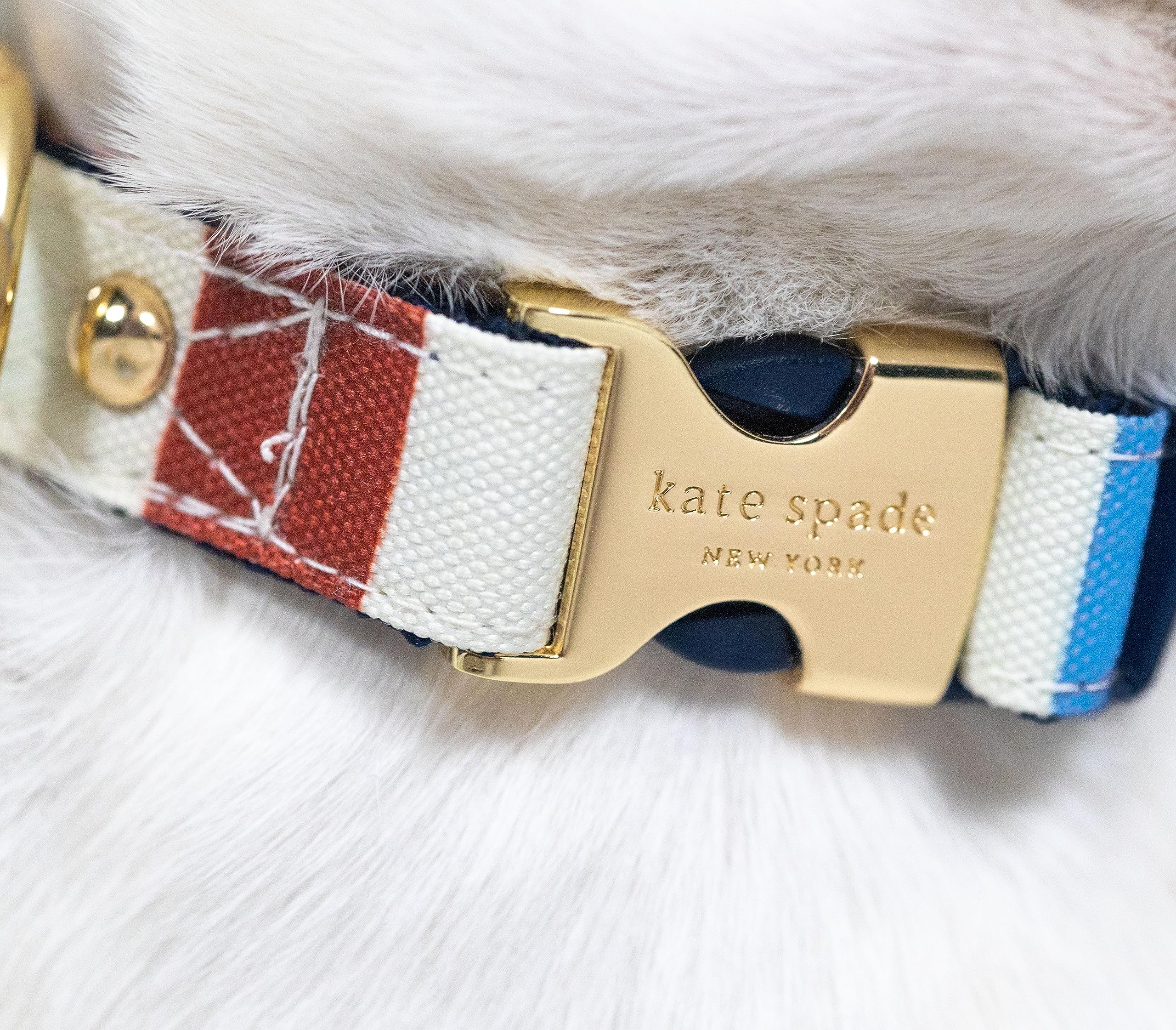 Kate Spade New York Cute Dog Collar With Gold Metal Details & Plastic Buckle, 15'' To 22'' Adjustable Dog Collar For Female Or M