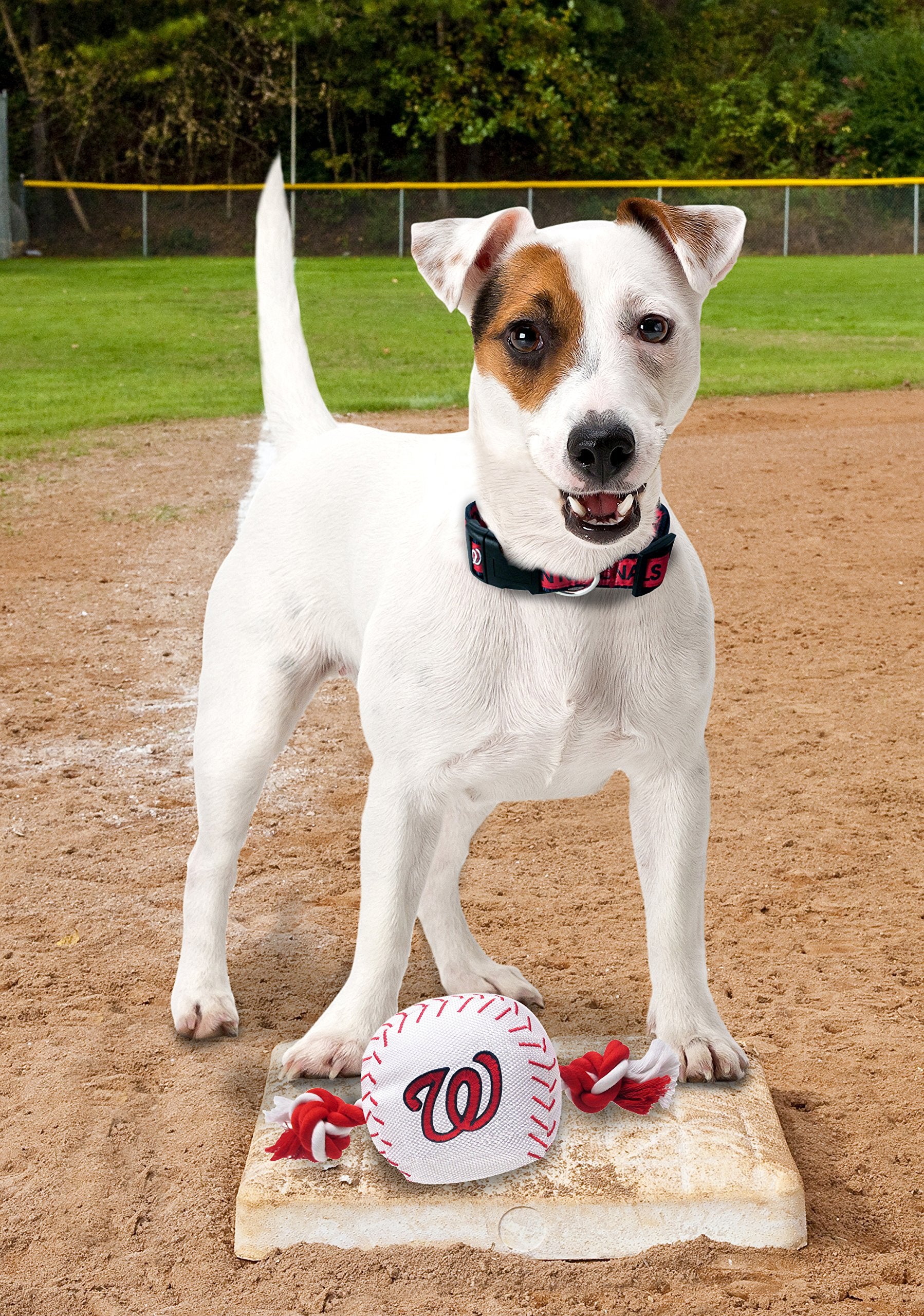 Mlb Washington Nationals Baseball Rope Toy For Dogs & Cats. Tough Nylon, Sporty Baseball Design, Heavy-Duty Ropes With Inner Squ