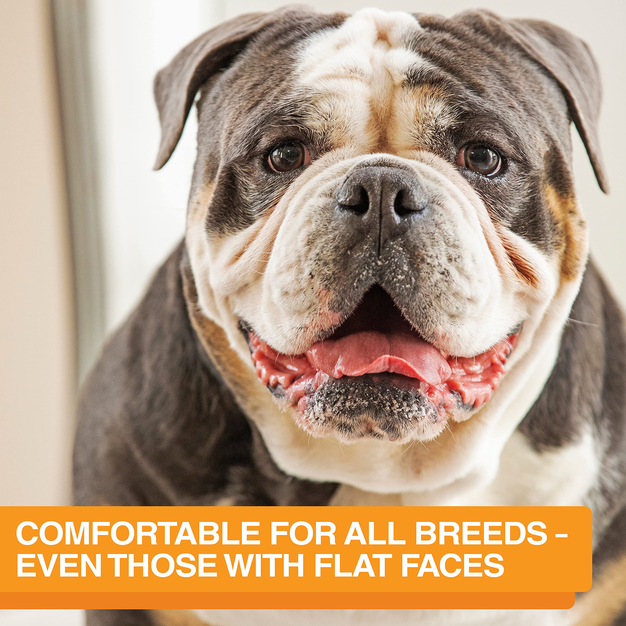 Neater Feeder Express Mess Proof Dog Bowls Elevated for Medium and Large Breed - Made in USA - No Spill Raised Slow Feeder Eleva