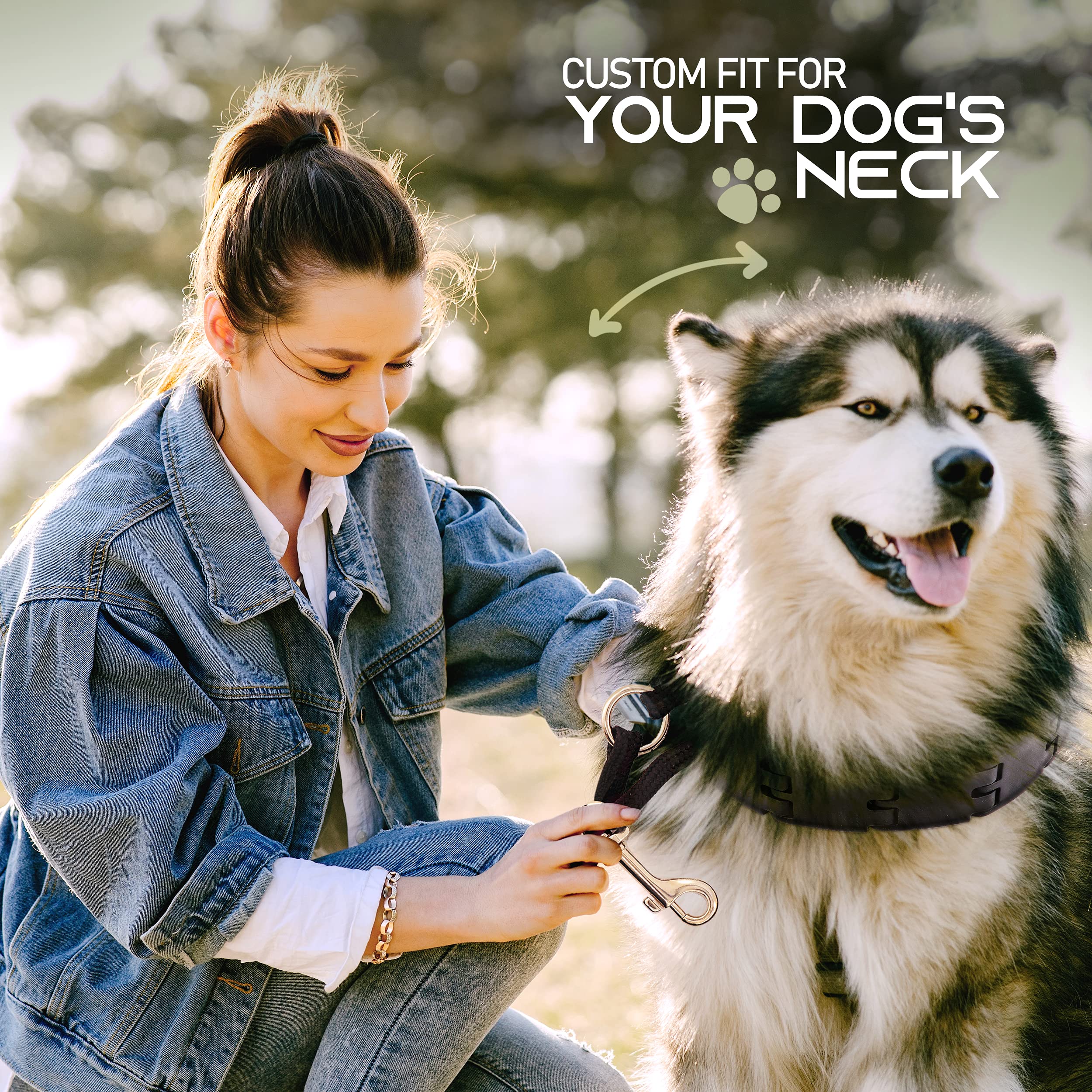 Ram-Pro Dog Training Pinch Collar Large Triple Crown Gentle Effective/No Barking Control For All Breeds