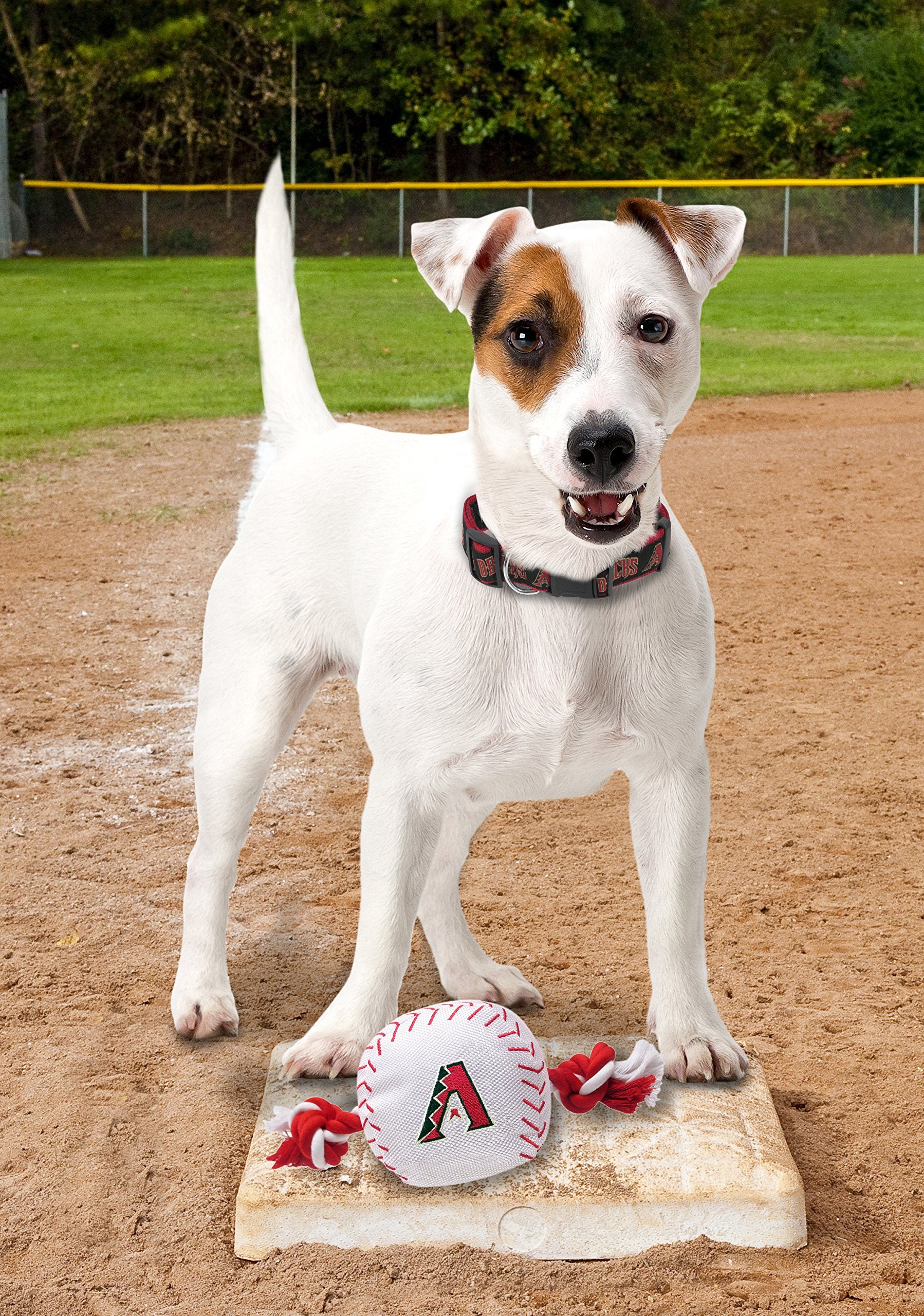 Mlb Arizona Diamondbacks Baseball Rope Toy For Dogs & Cats. Tough Nylon, Sporty Baseball Design, Heavy-Duty Ropes With Inner Squ