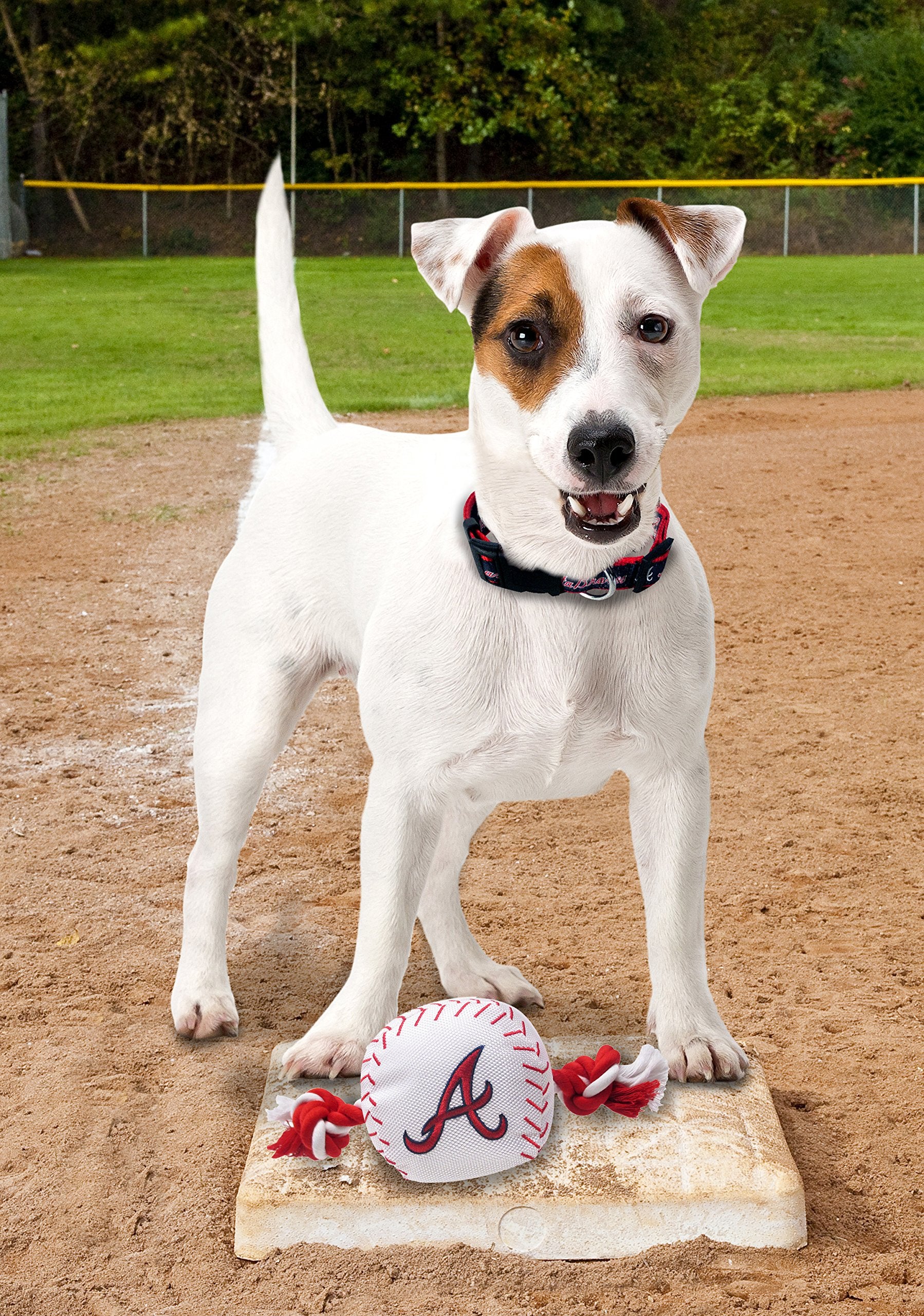 Mlb Atlanta Braves Baseball Rope Toy For Dogs & Cats. Tough Nylon, Sporty Baseball Design, Heavy-Duty Ropes With Inner Squeaker