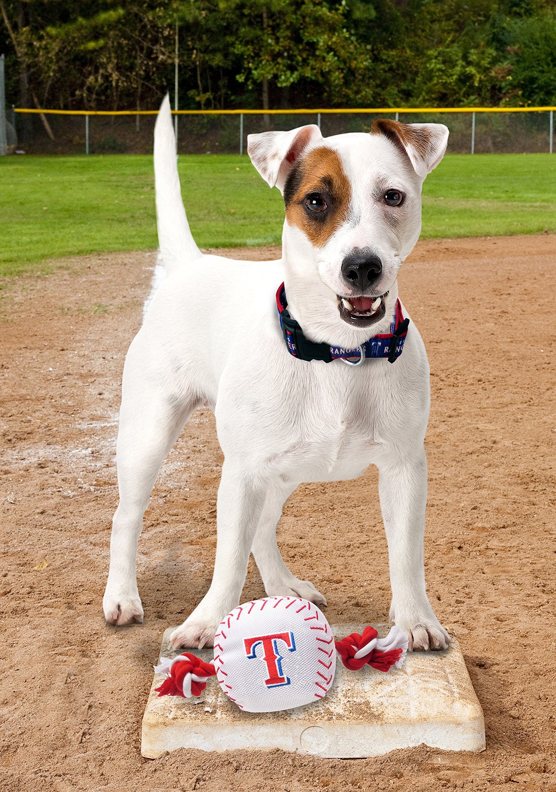 Mlb Texas Rangers Baseball Rope Toy For Dogs & Cats. Tough Nylon, Sporty Baseball Design, Heavy-Duty Ropes With Inner Squeaker
