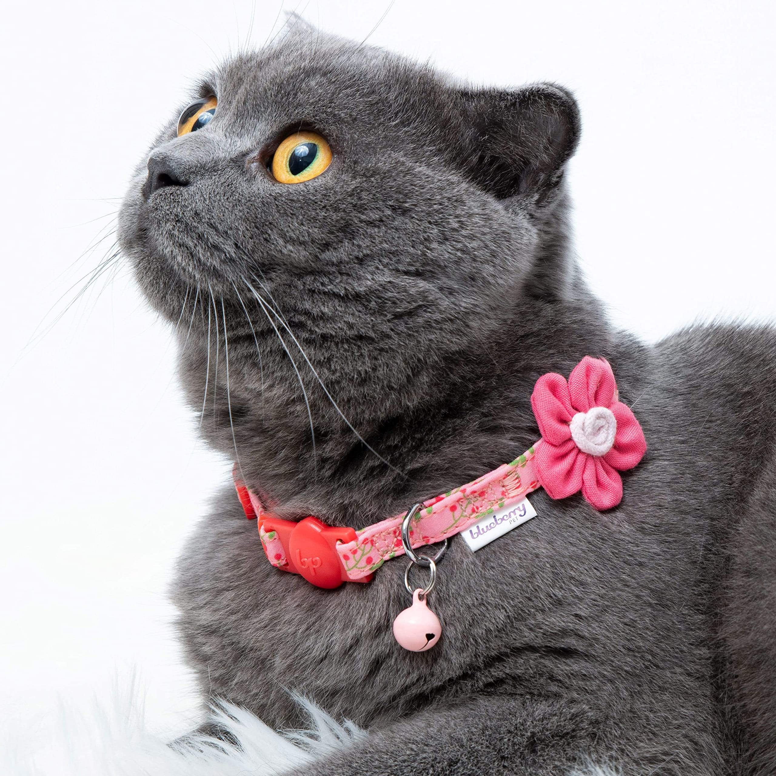 Blueberry Pet Pack Of 2 Cat Collars, Lovely Cherry And Floral Prints Adjustable Breakaway Cat Collar With Flower & Bell, Neck 9