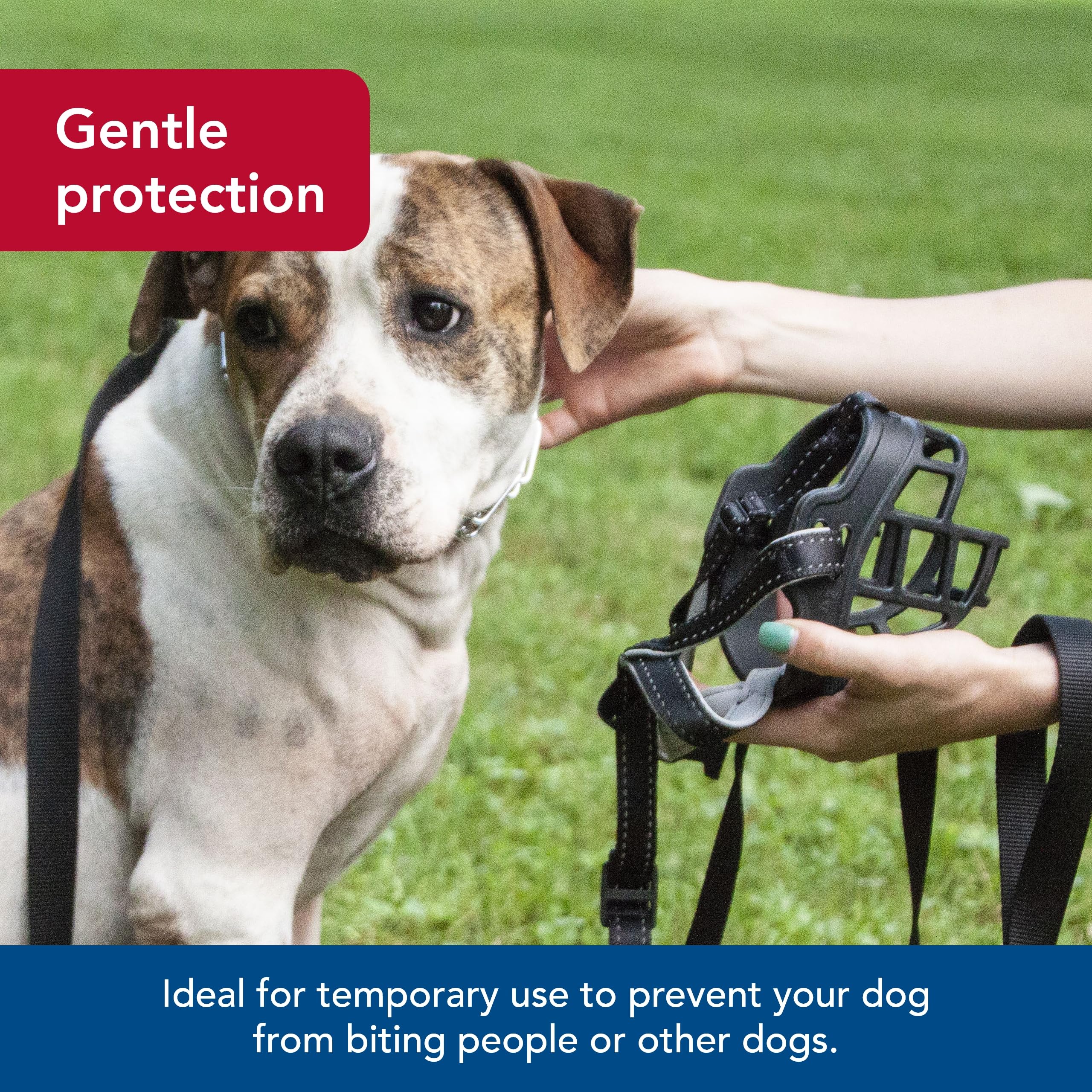 Coastal Pet Soft Basket Muzzle - Custom-Fit For Comfort - Indoor & Outdoor Dog Accessory - Adjustable Strap - Flexible Silicone - Allows Panting & Drinking - Black, 02