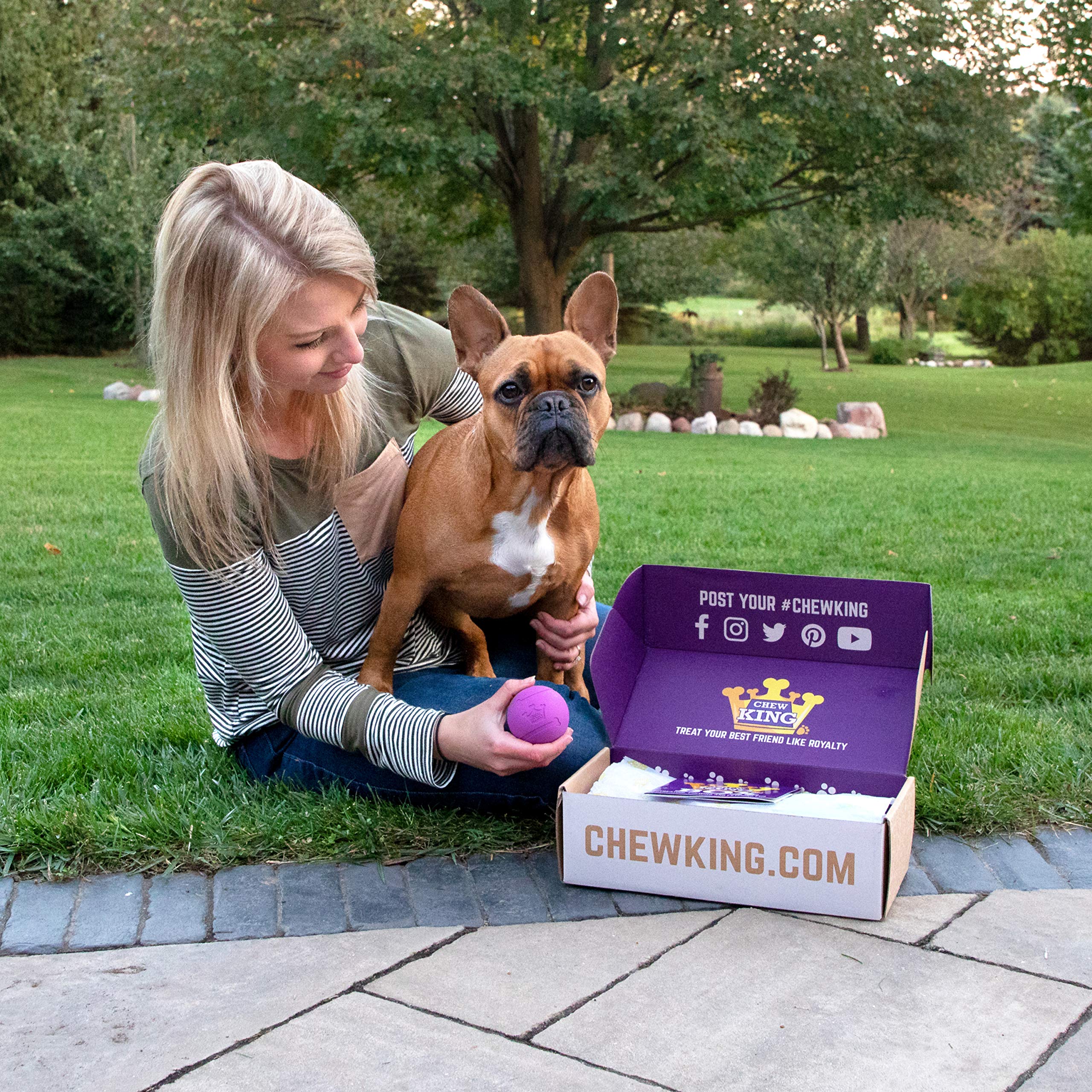 Chew King Dog Box Medium- Durable Fetch Balls, Treater And Chewing Toy Collection, Teal (Cm-10099-Cs01)