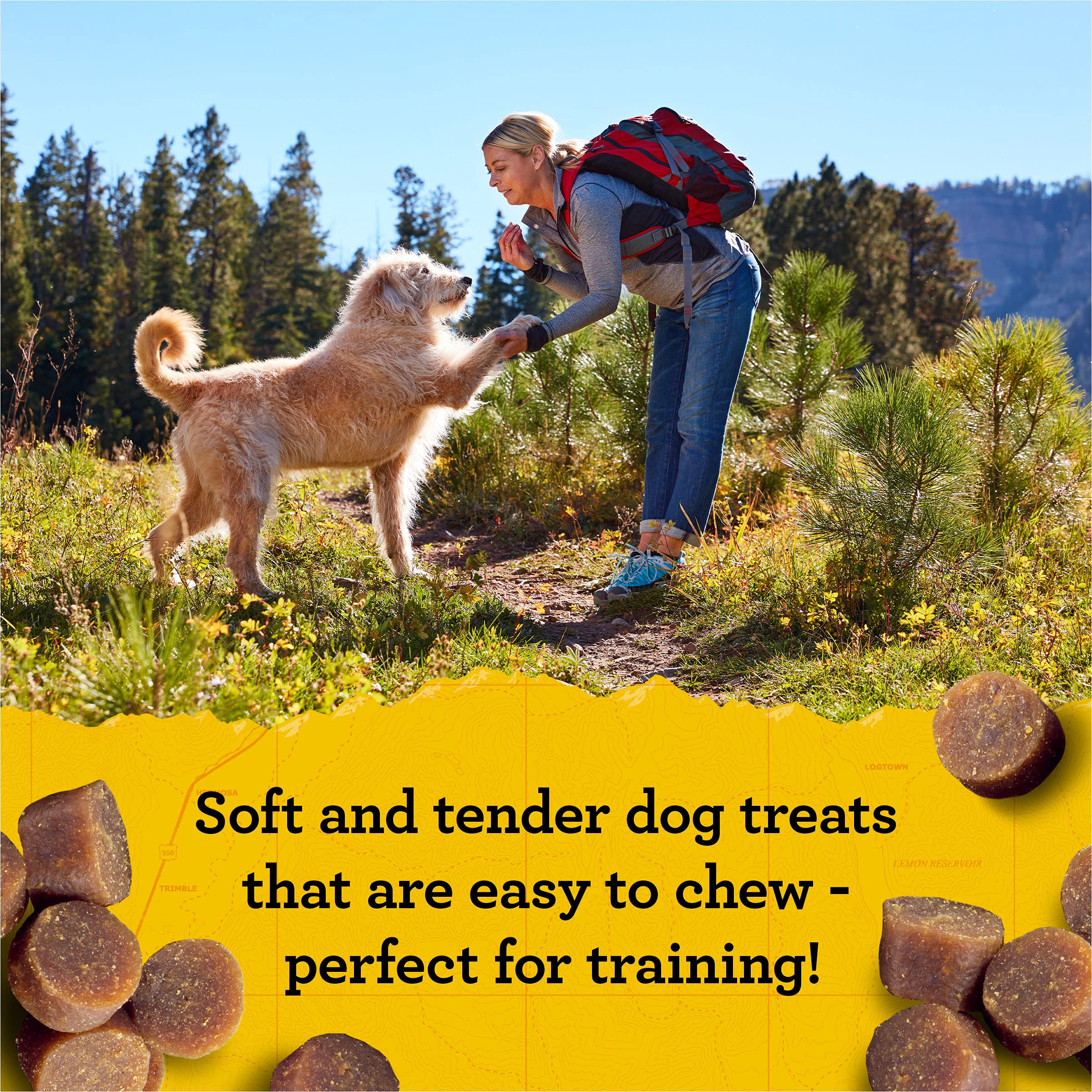 Zukes Mini Naturals Soft And Chewy Dog Treats For Training Pouch, Natural Treat Bites With Beef Recipe - 6 oz. Bag