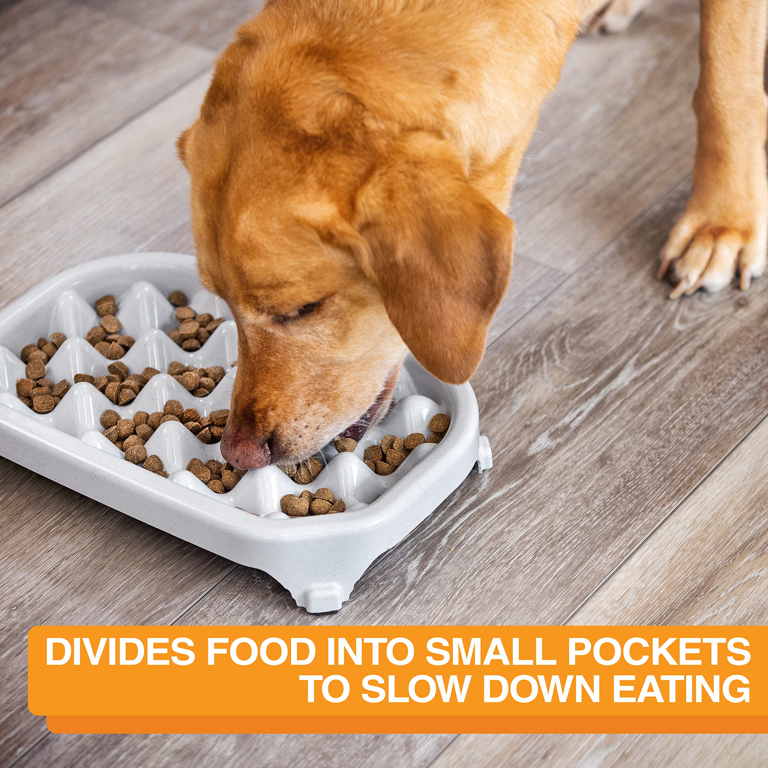 Neater Pet Brands - Neater Slow Feeder - Fun, Healthy, Stress Free Dog Bowl Helps Stop Bloat Prevents Obesity Improves Digestion