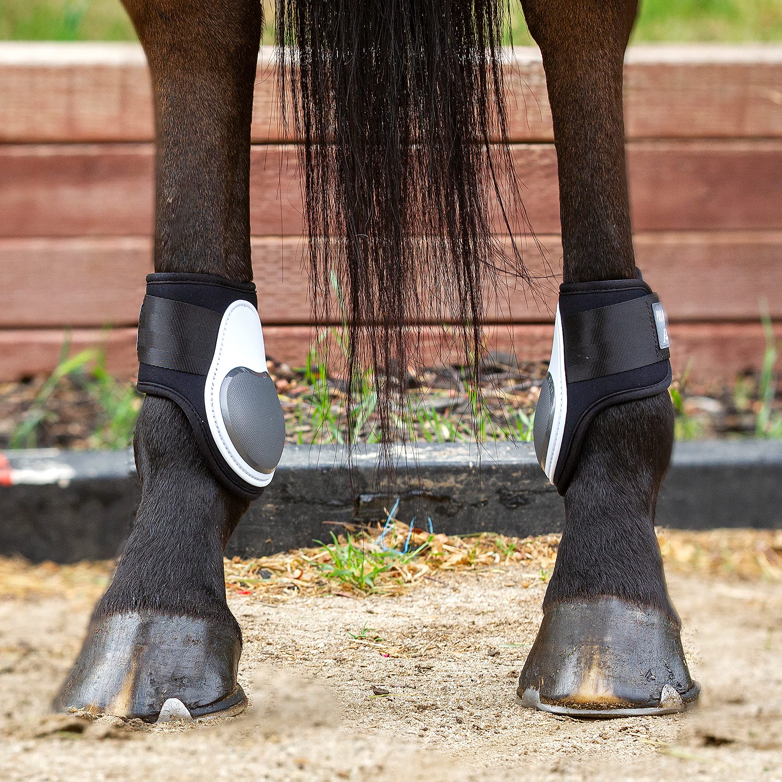 Professionals Choice Sports Medicine Products Pro Performance Fetlock Horse Boots Equestrian Sports | White