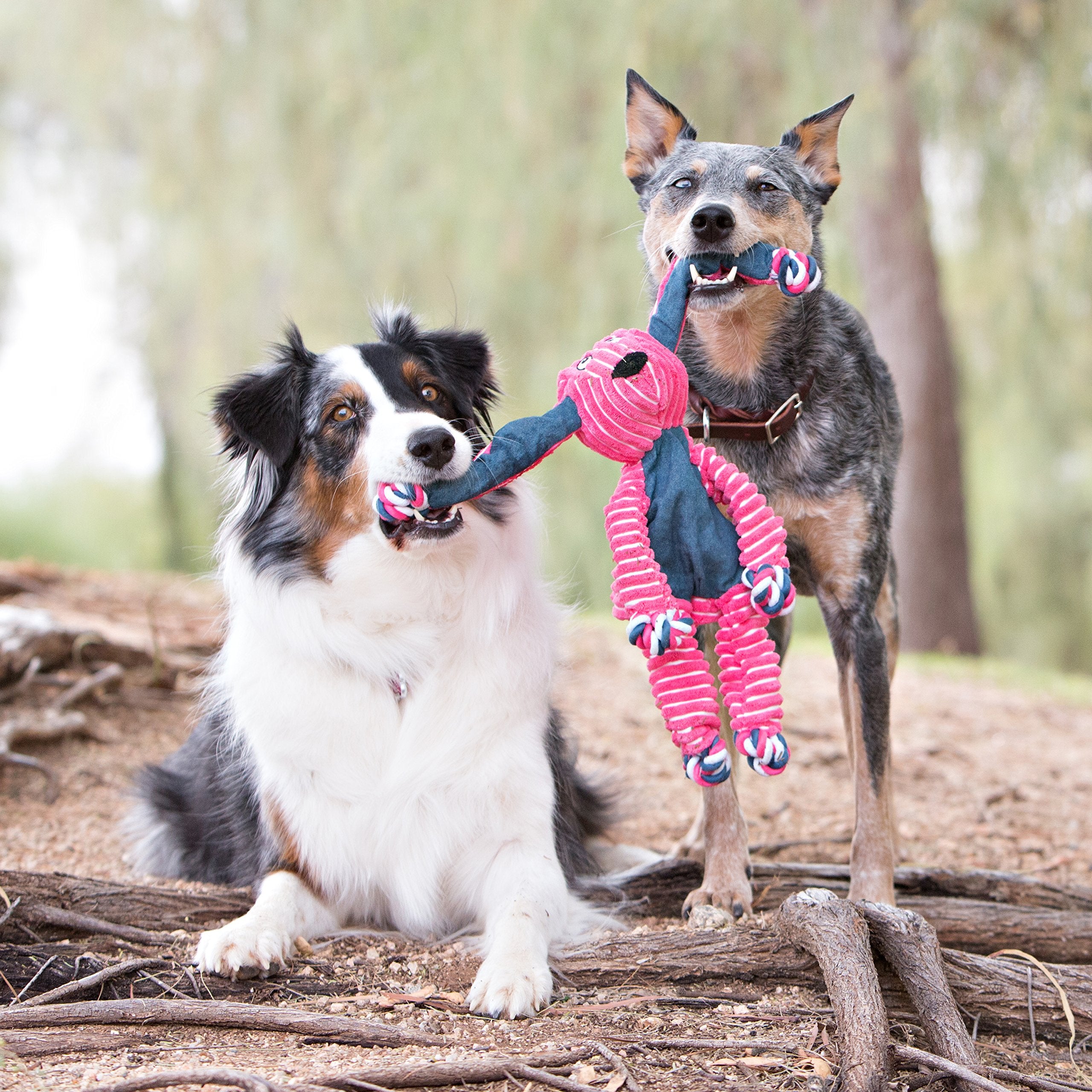 Kong Floppy Knots & Signature Balls (2 Pack) - Knotted Dog Toy Entices Play & Satisfies Instincts - Dog Supplies With Minimal St