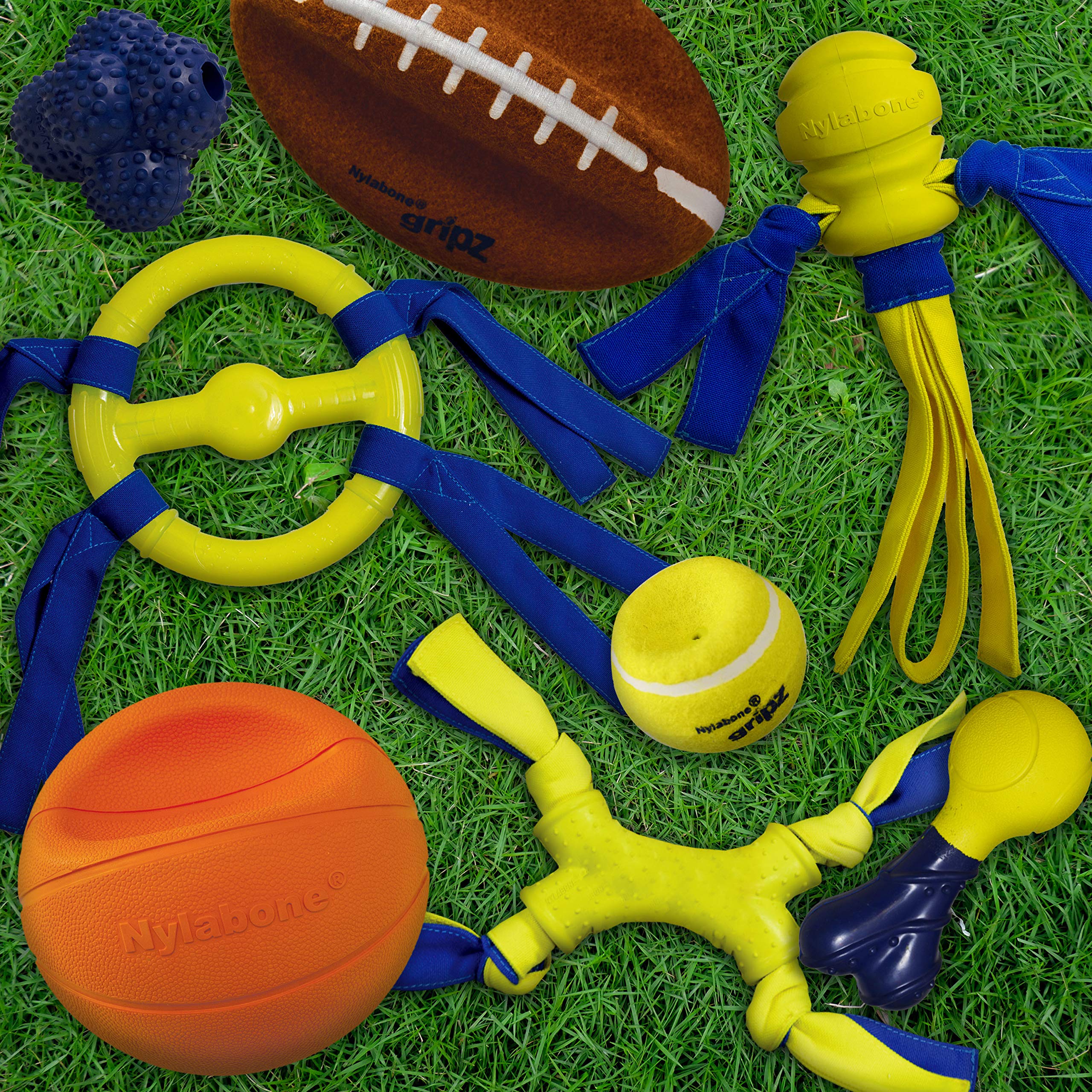 Nylabone Power Play Dog Fetch Toys Fling-A-Bounce Fling-A-Bounce Large (1 Count)