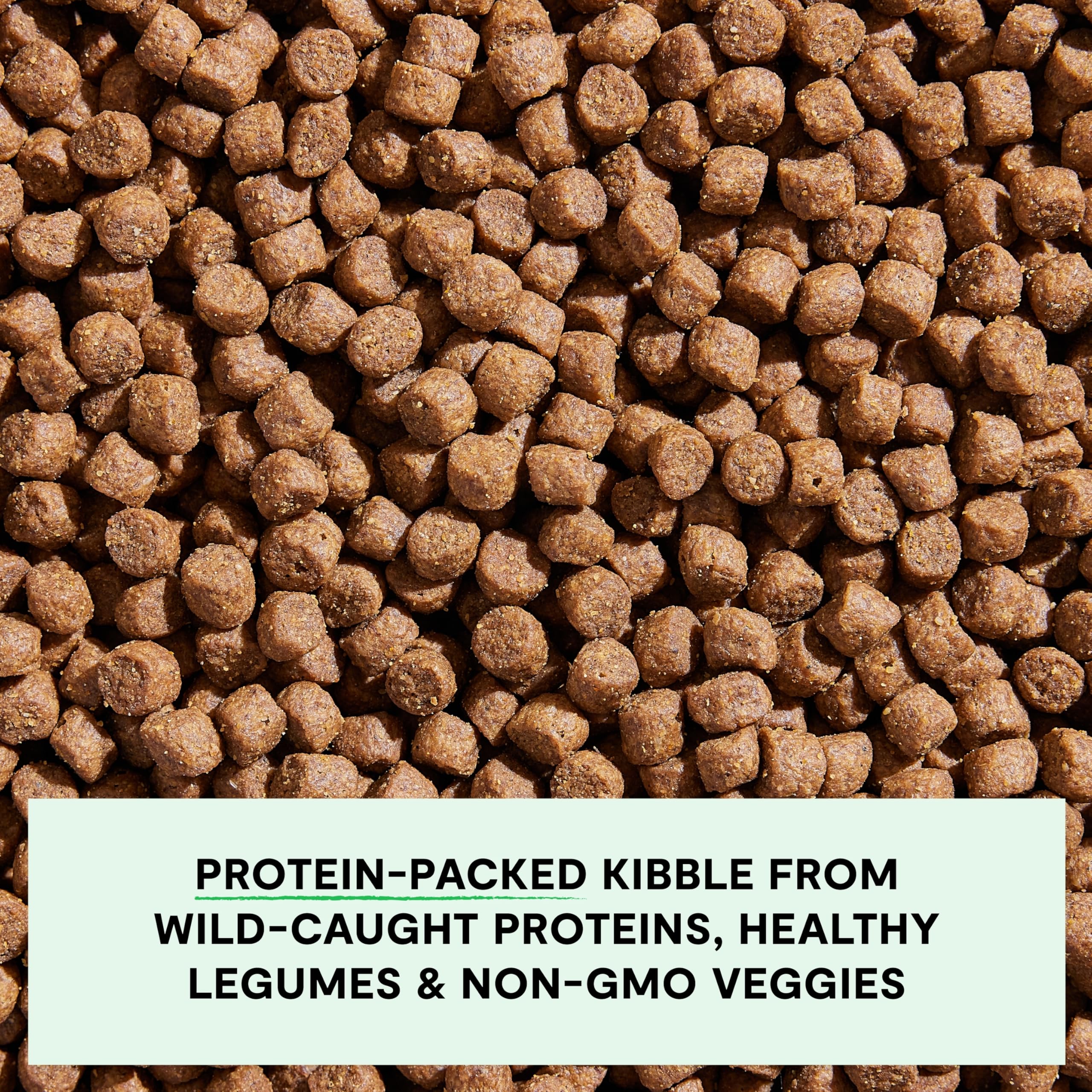 Open Farm Wild-Caught Salmon Grain-Free Dry Dog Food, Fresh Pacific Salmon Recipe with Non-GMO Superfoods and No Artificial Flav