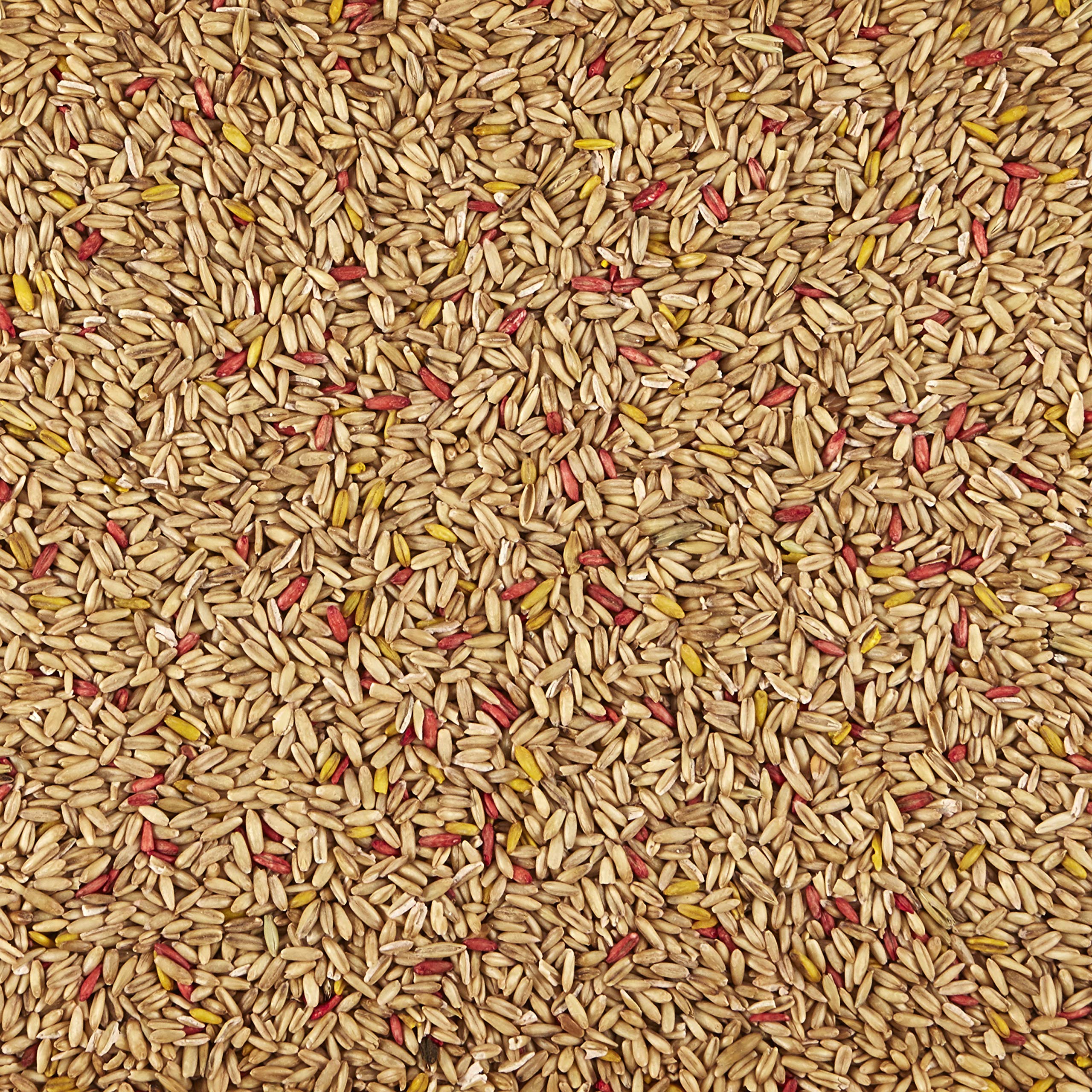 Kaytee Oat Groats Treat Jar- All Pet Birds 11 Oz